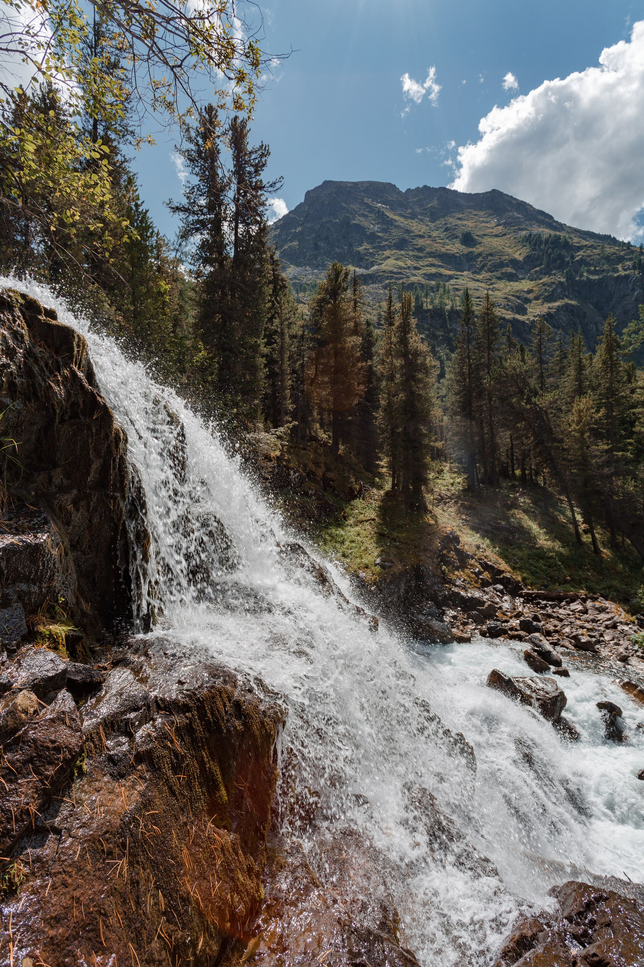 Катунский заповедник, Республика Алтай. Репортажный фотограф в Крыму Ксения Гасица