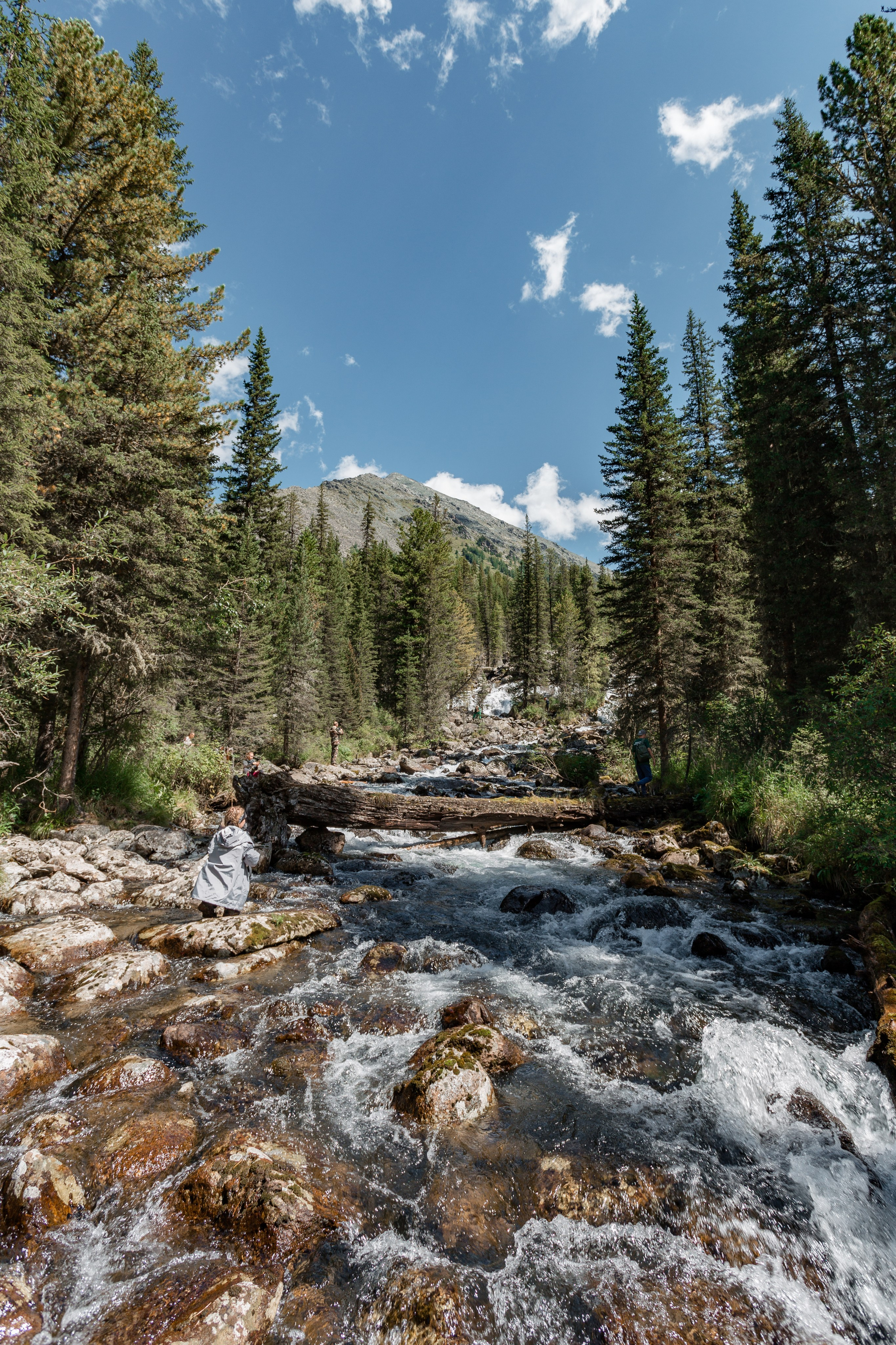 Катунский заповедник, Республика Алтай. Репортажный фотограф в Крыму Ксения Гасица