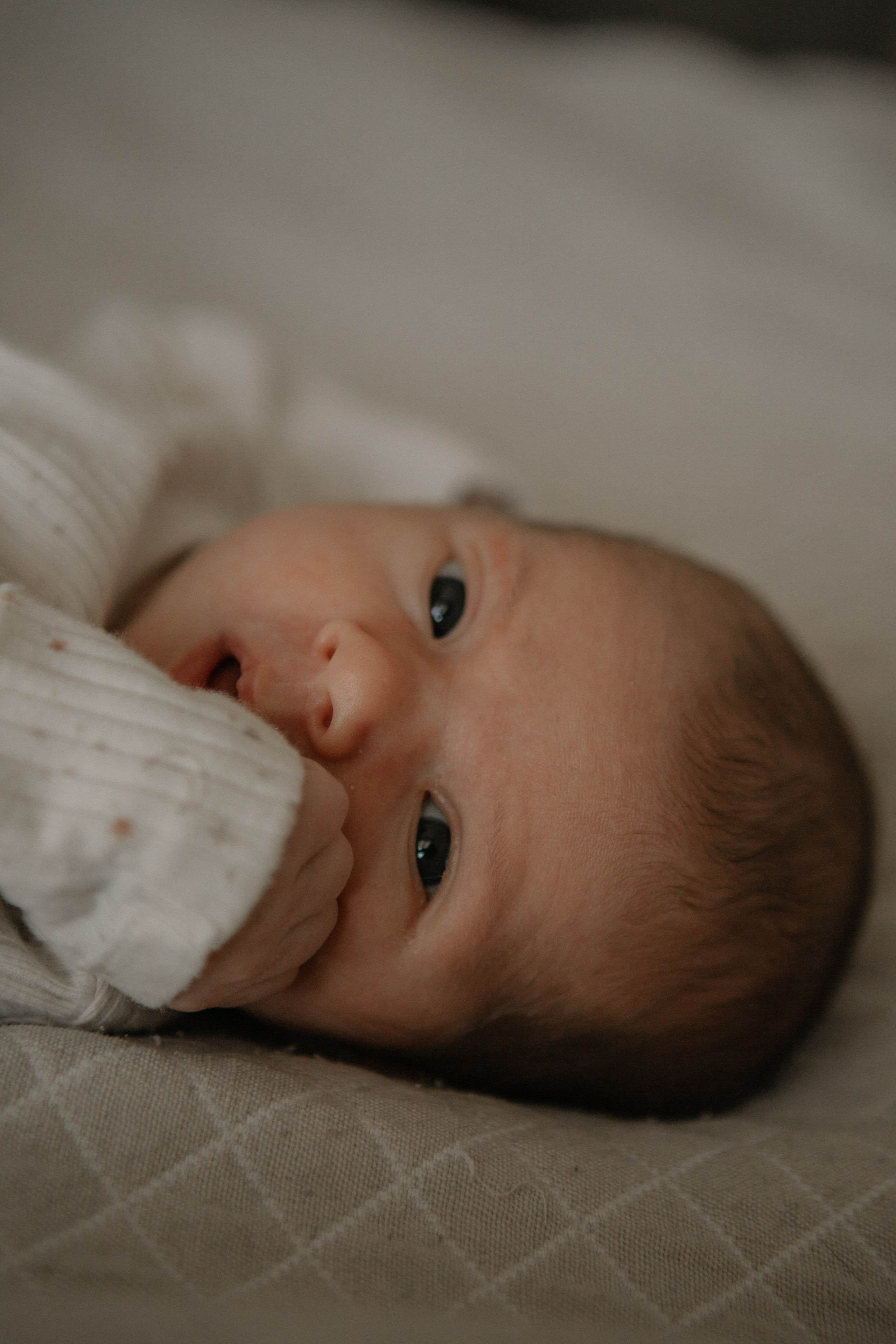 Kira + Katya & Igor. Portrait, family and pet photographer in Cyprus, Ksenia Bourdelle