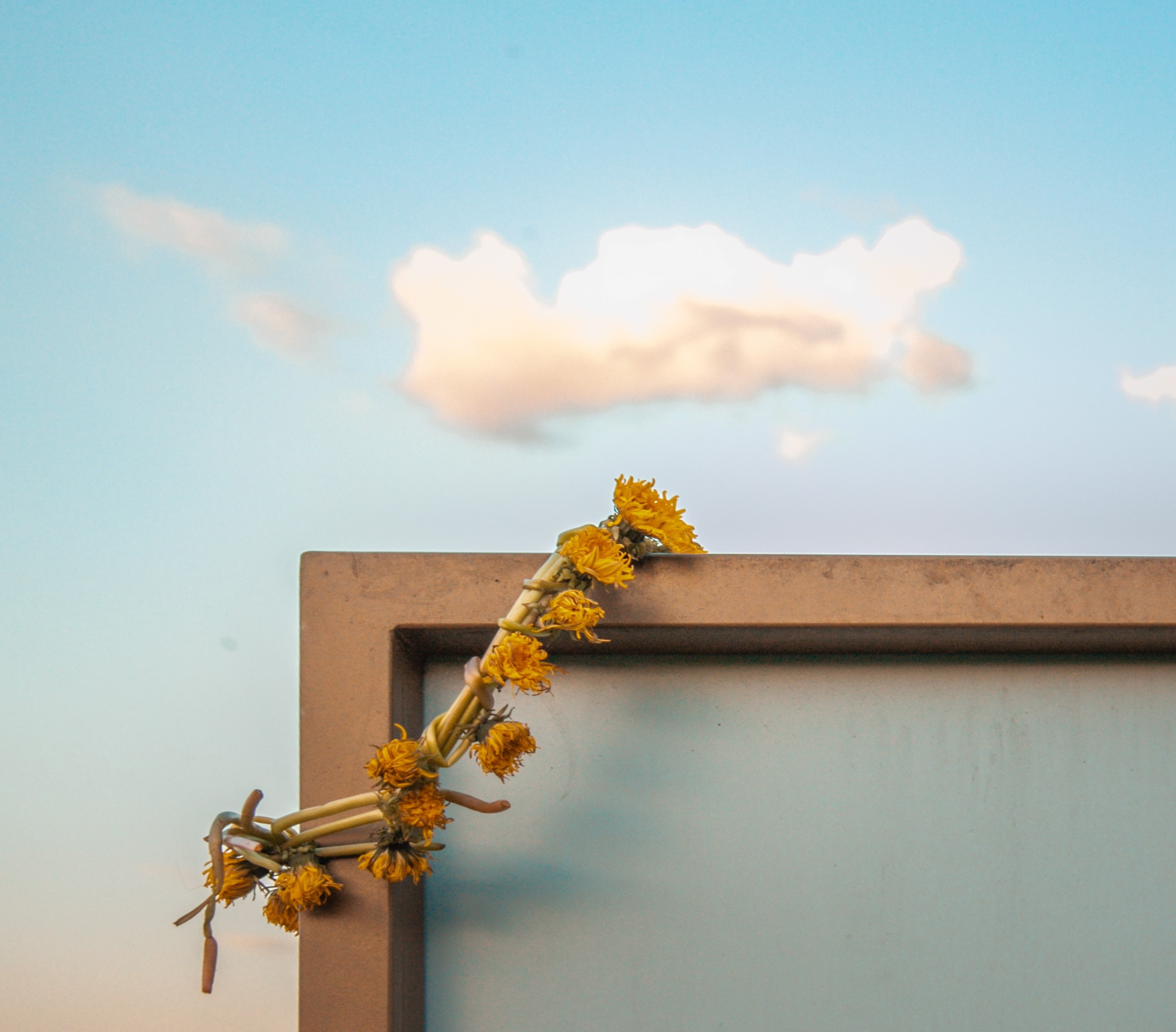Путешествия. Портретный фотограф в Москве Эмиль Халиков