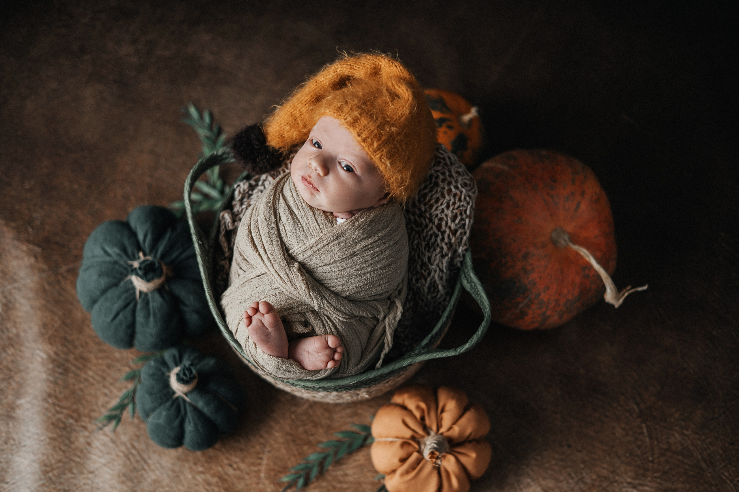 Гриша, пакет «Комфорт». 14 дней. Фотограф новорождённых Екатерина Боброва. Ульяновск