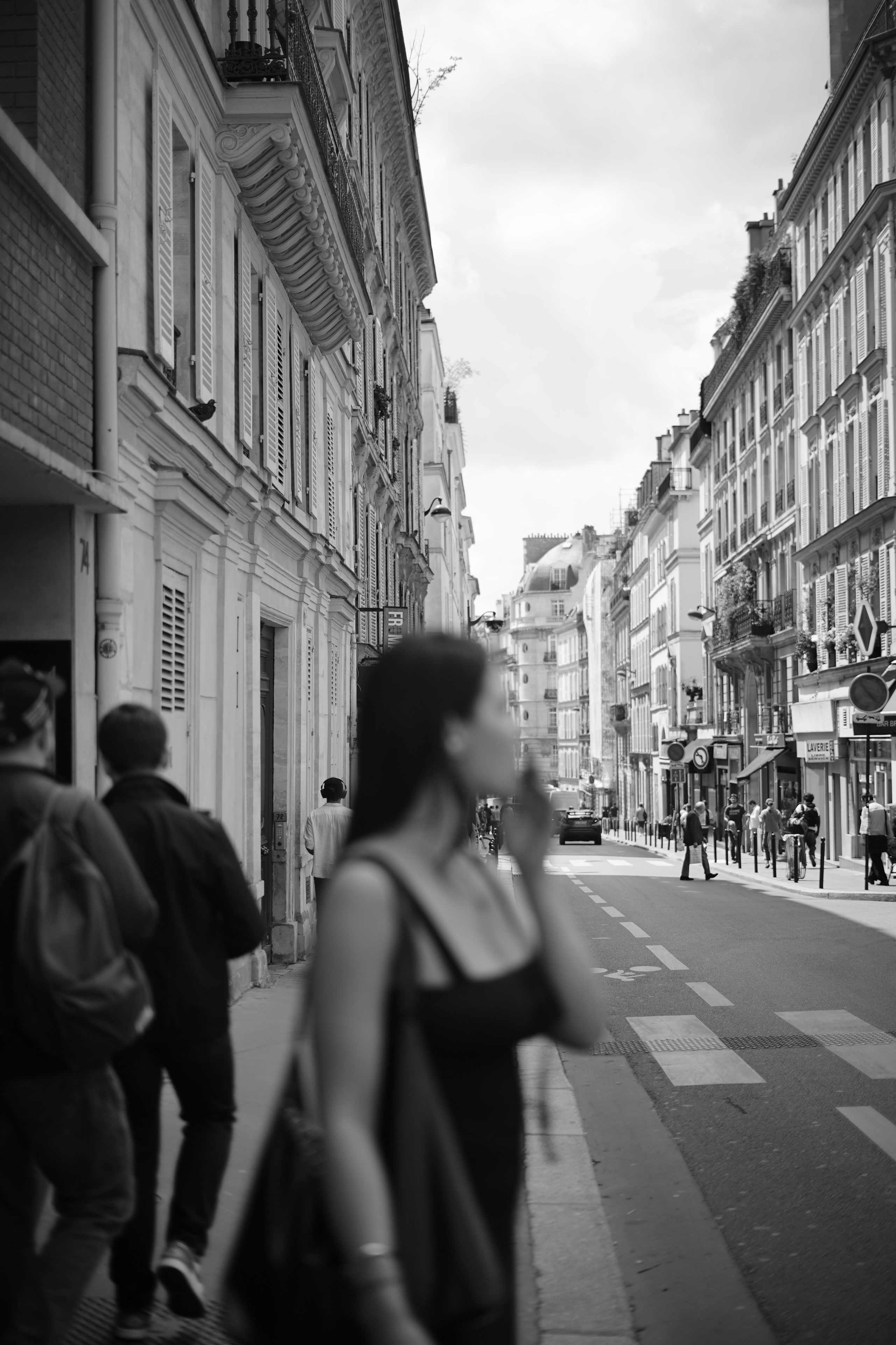 Галерея. Beardy Pix