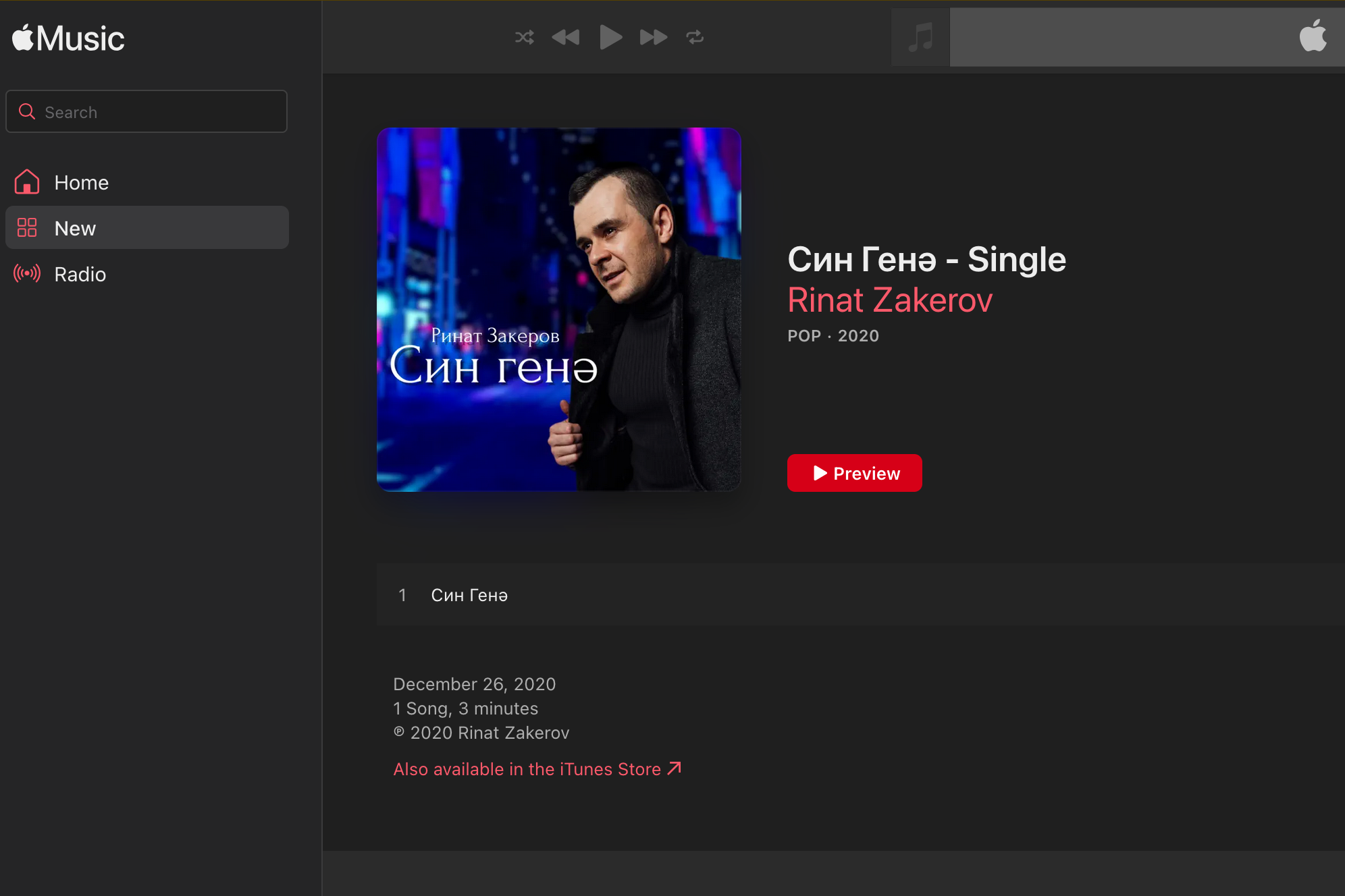 PRESS. New York photographer RINAT SHAHMETOV in New York city