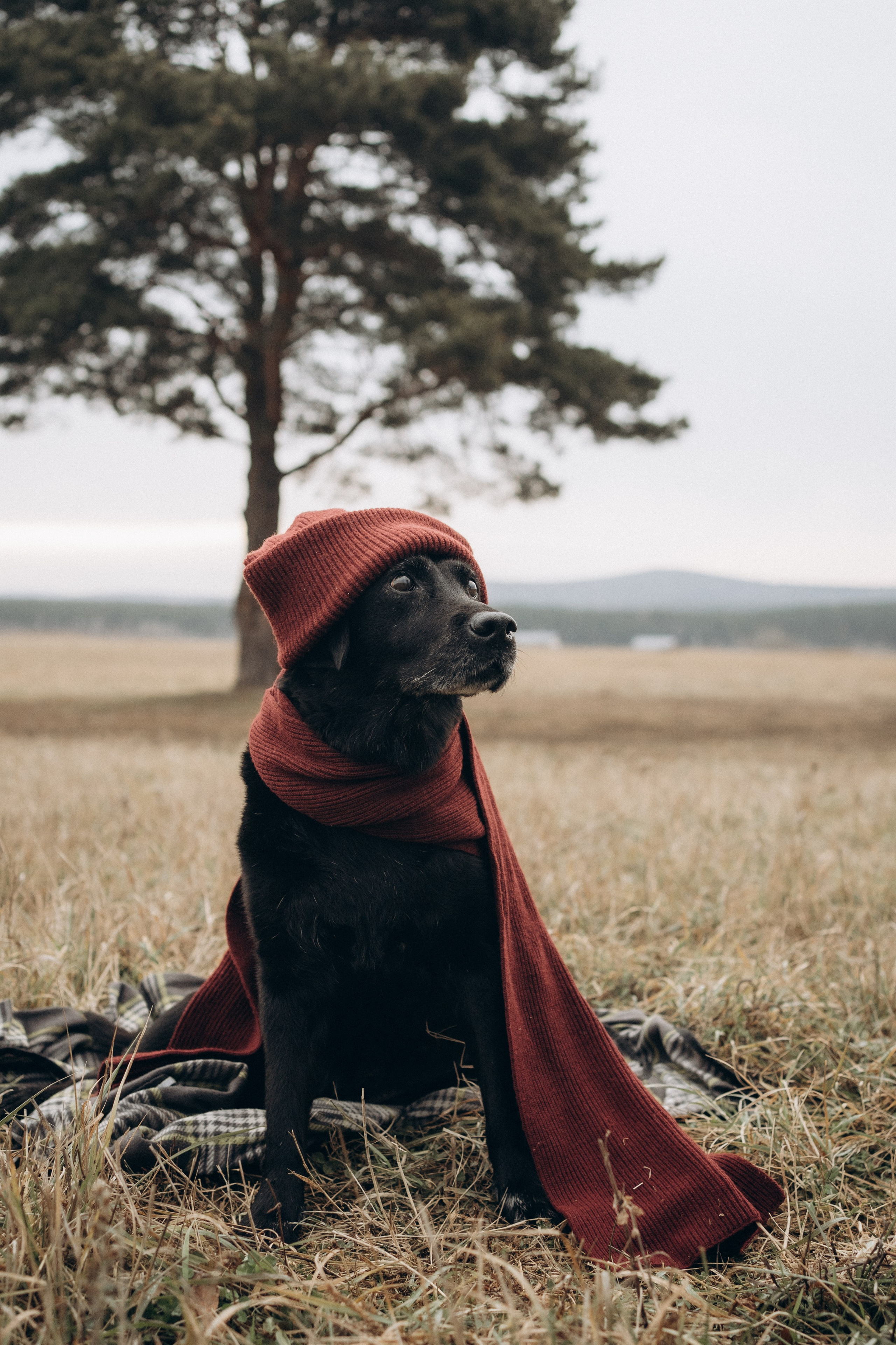 Таня и Молли. Фотограф-анималист Анастасия Большакова