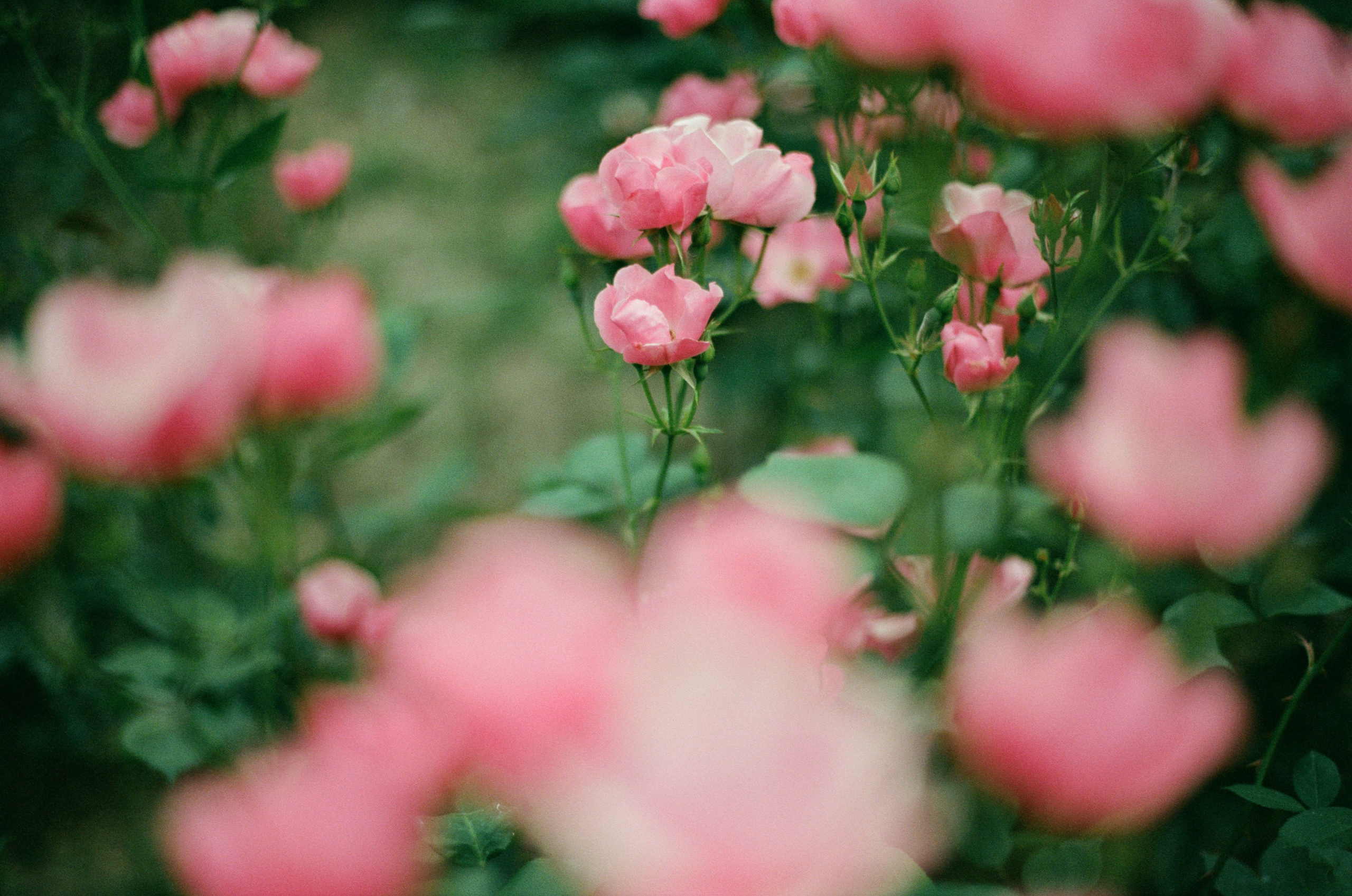 This time // ukraine, crimea V. EVER EXPOSED