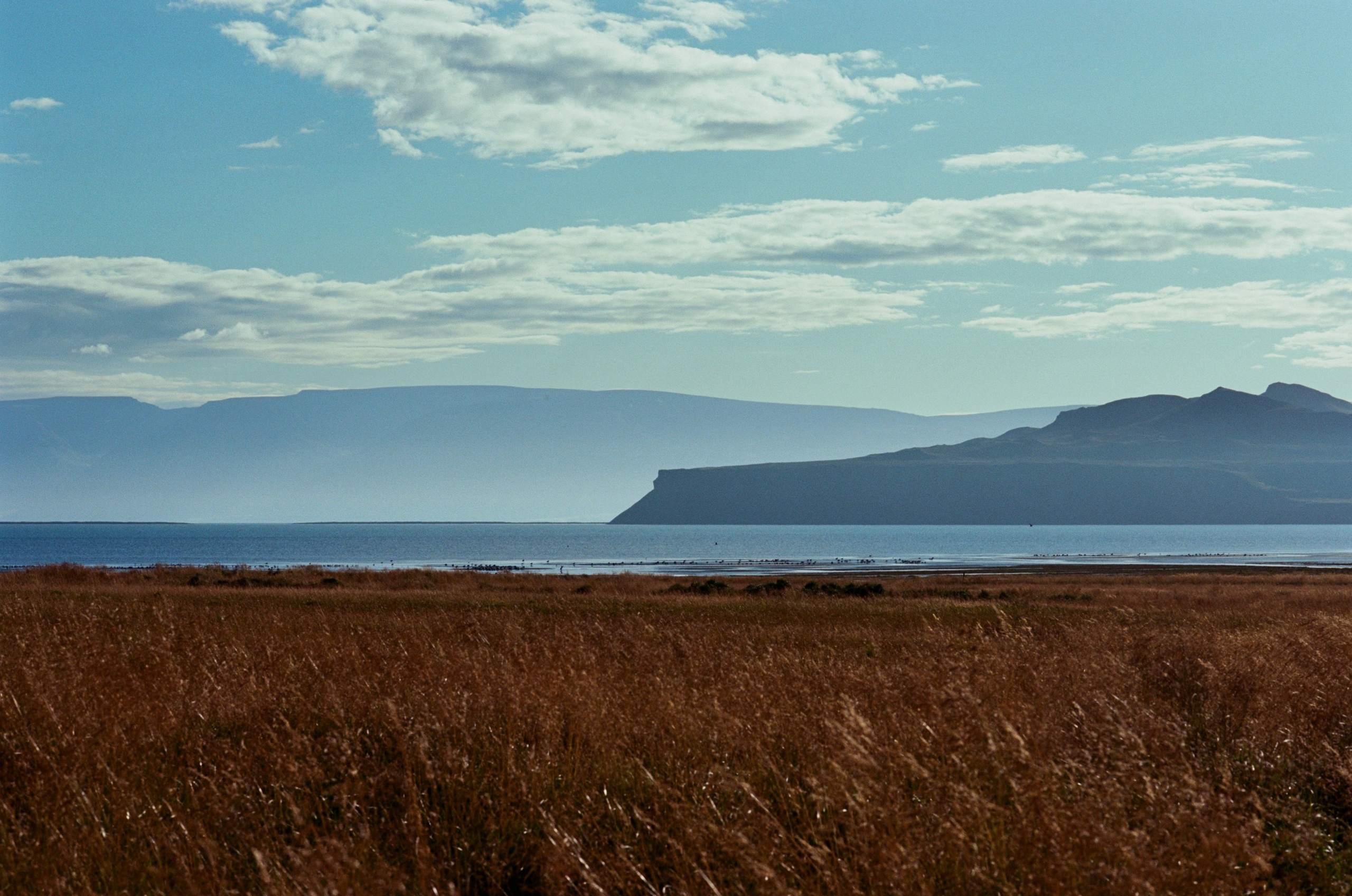 Bloodline // iceland, 76. EVER EXPOSED