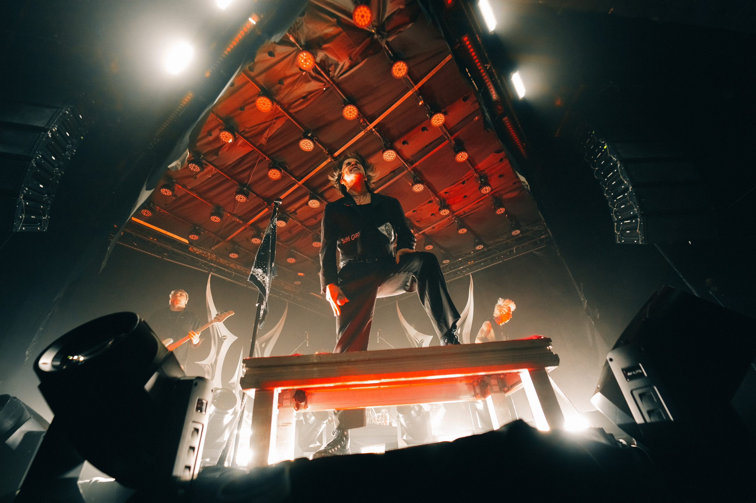 WILDWAYS. PASHAHARCE PHOTOGRAPHER & VIDEOGRAPHER