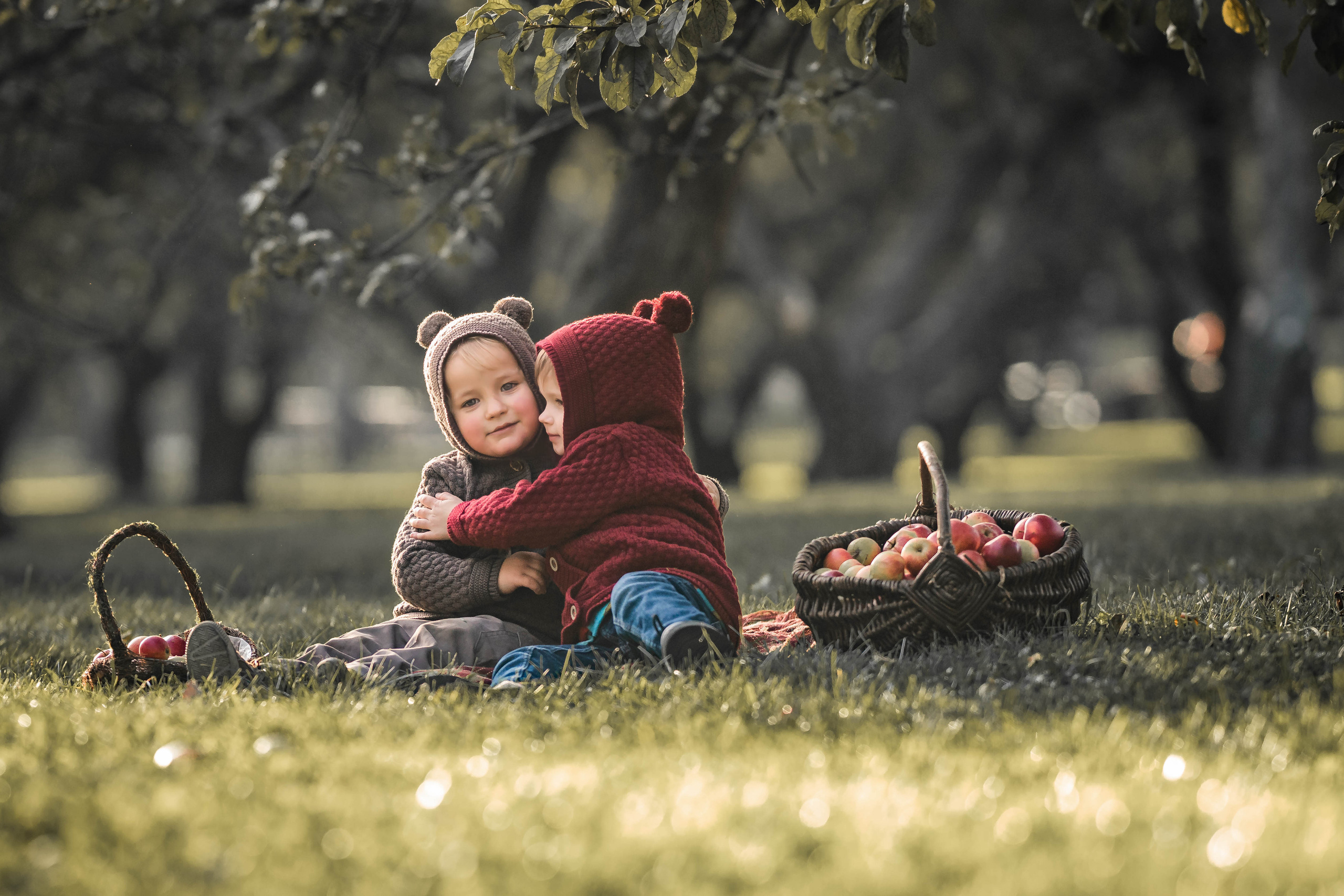 Про яблоки. Семейный фотограф Ефремова Виктория