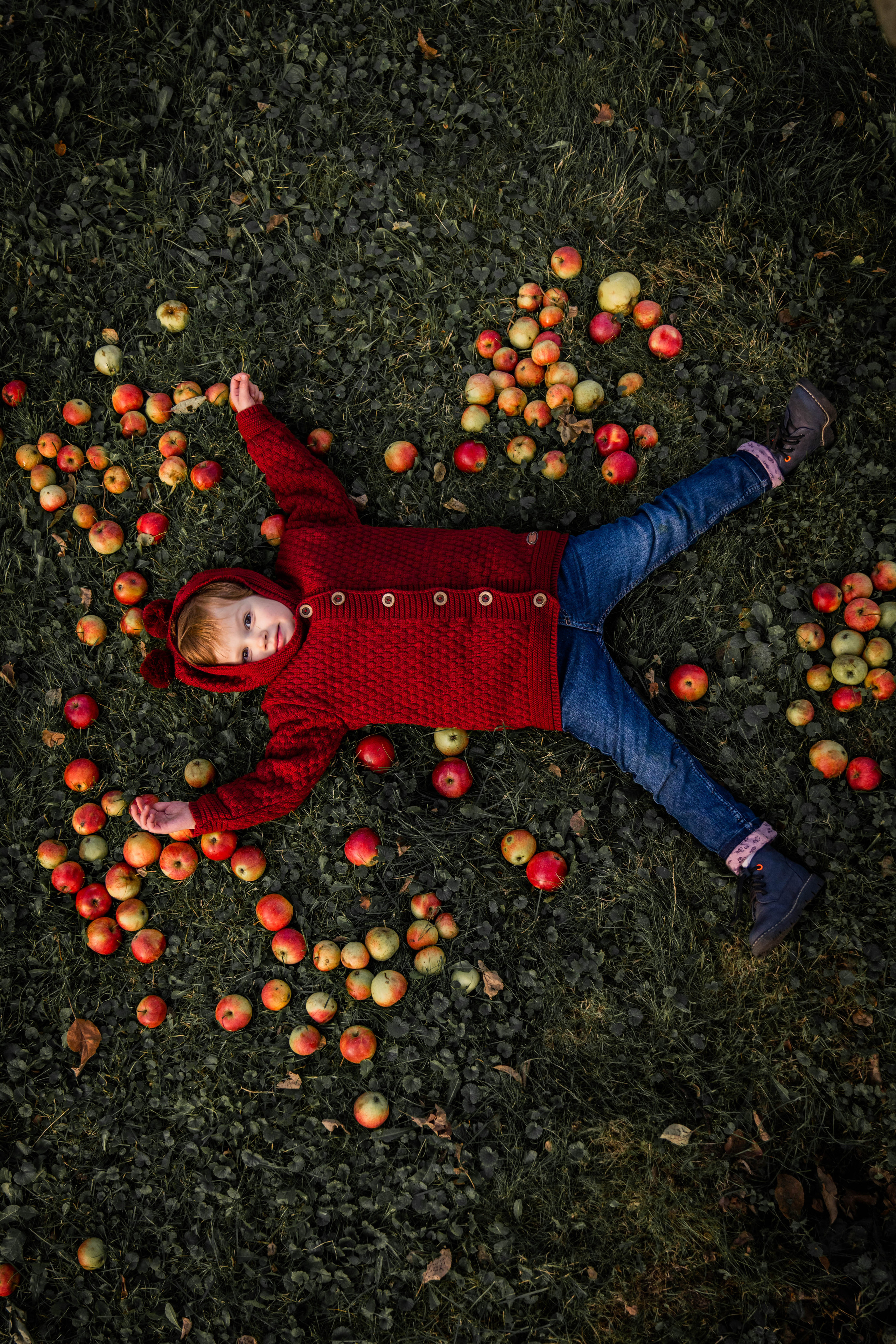 Про яблоки. Семейный фотограф Ефремова Виктория