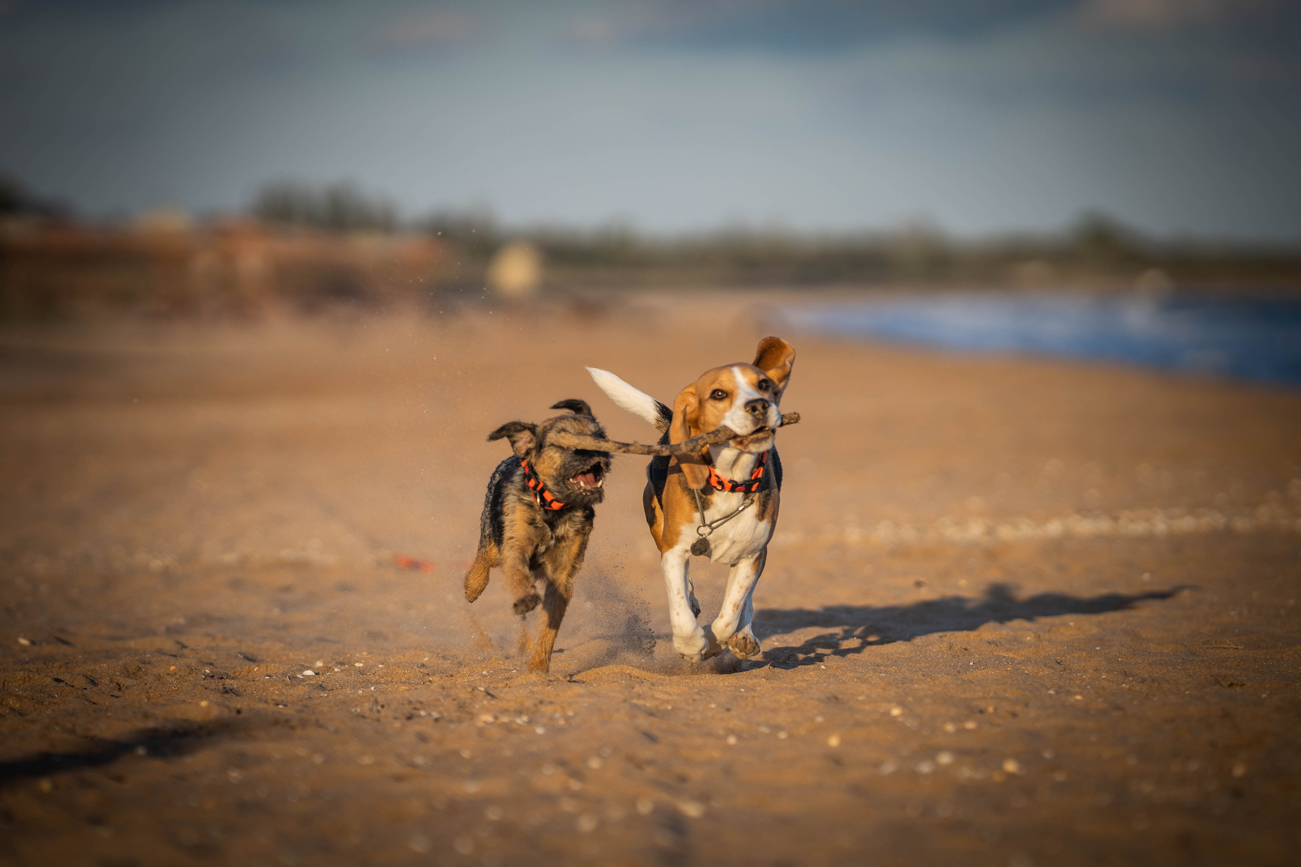 Два плюс два. Семейный фотограф Ефремова Виктория