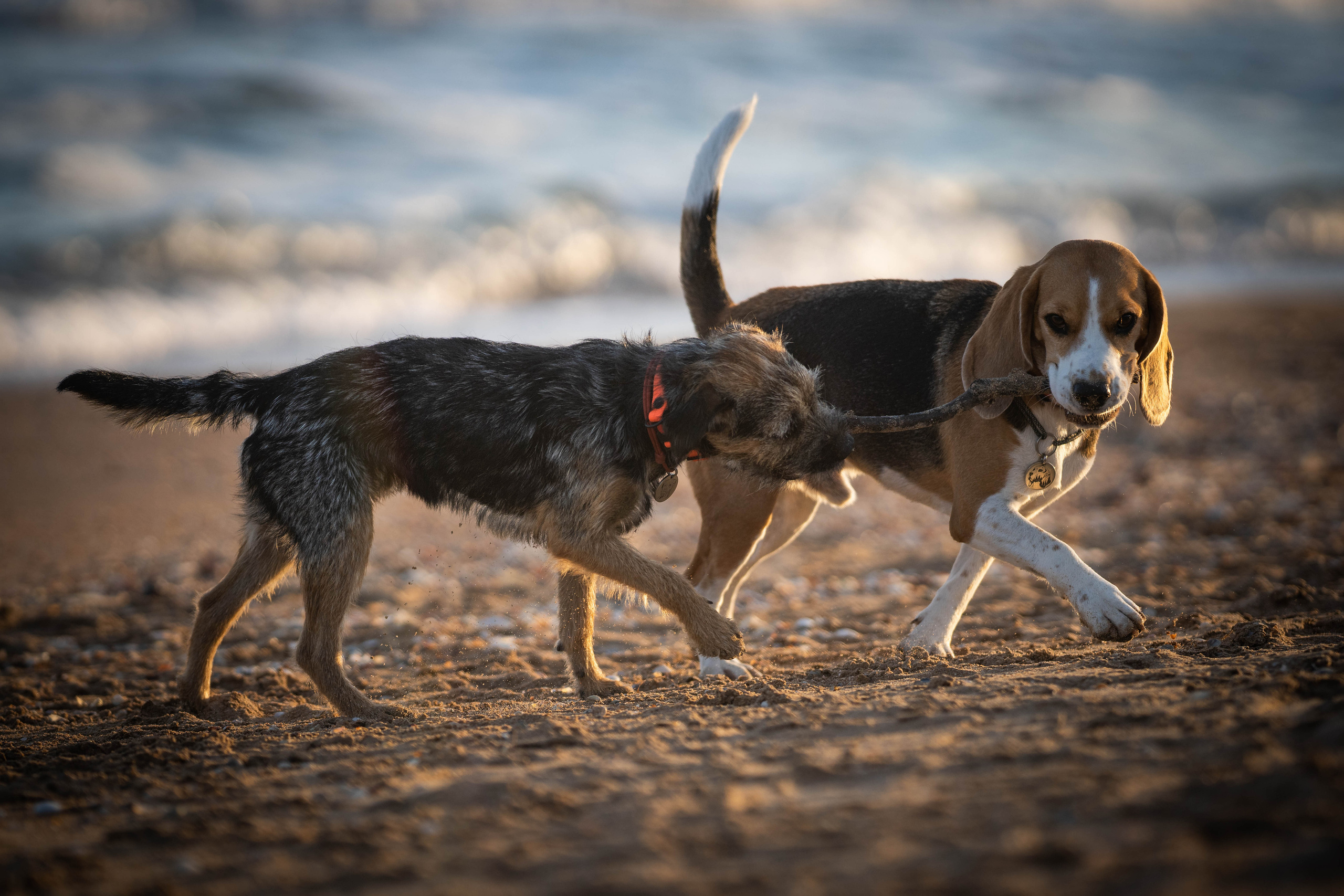 Два плюс два. Семейный фотограф Ефремова Виктория