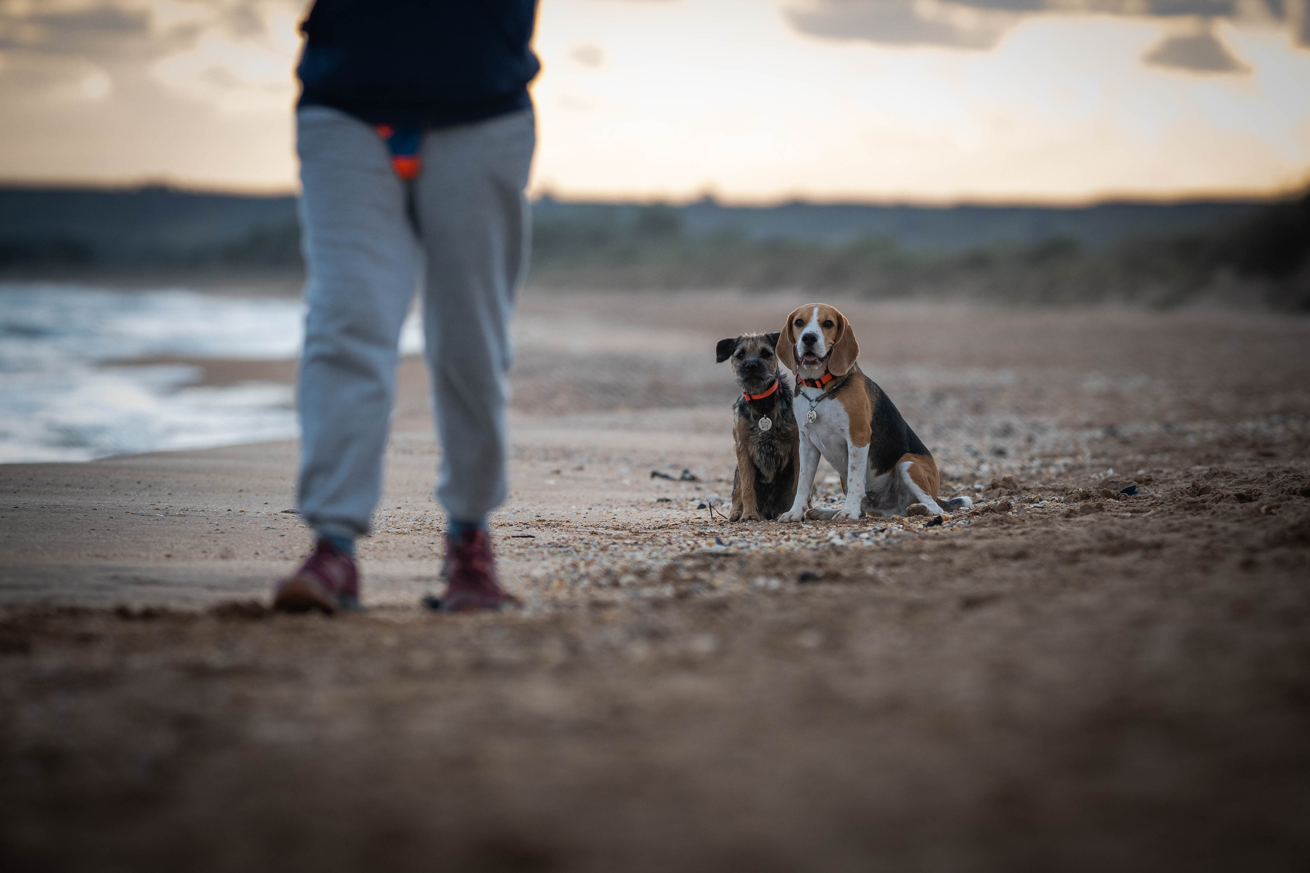 Два плюс два. Семейный фотограф Ефремова Виктория