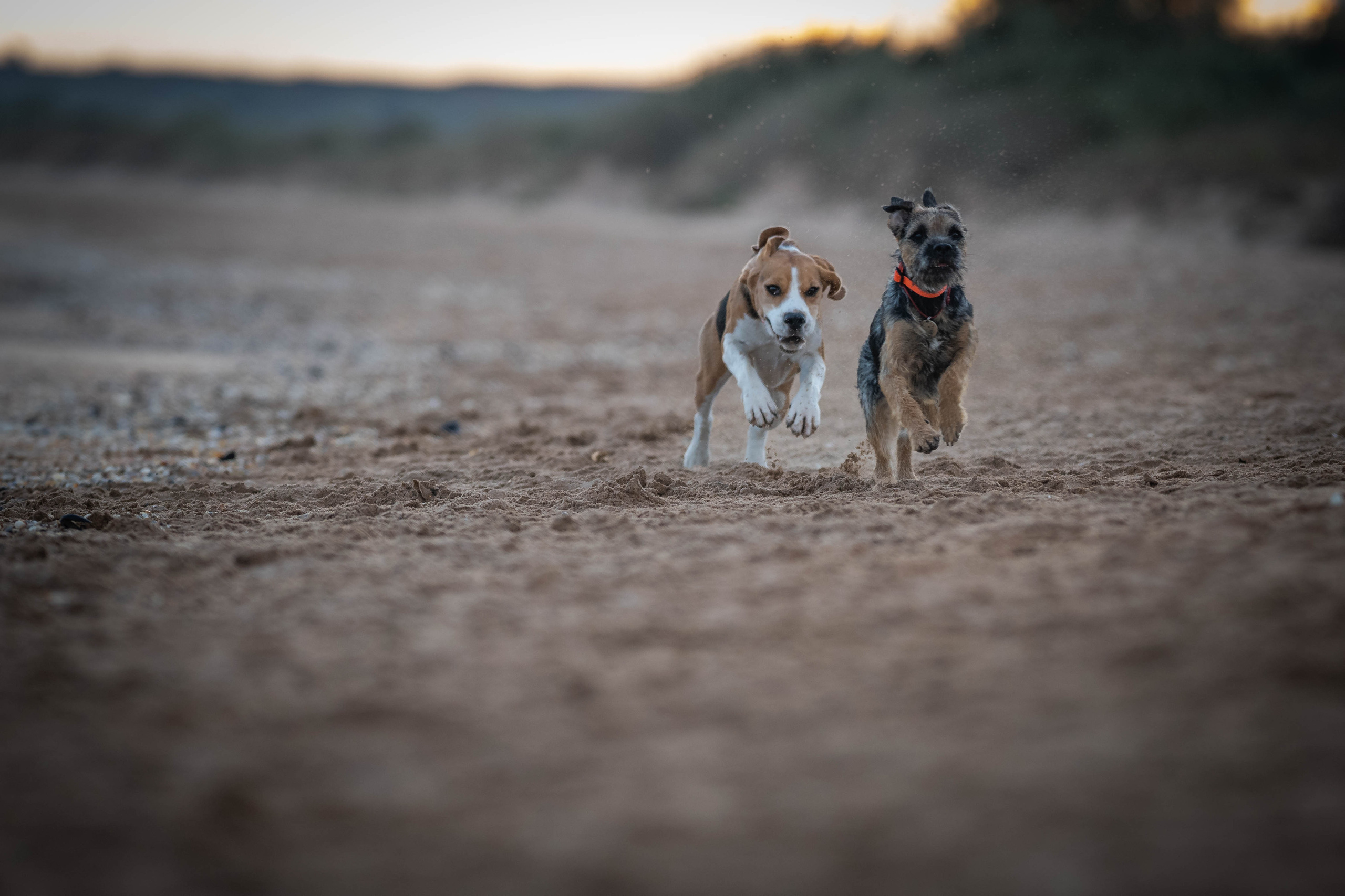 Два плюс два. Семейный фотограф Ефремова Виктория