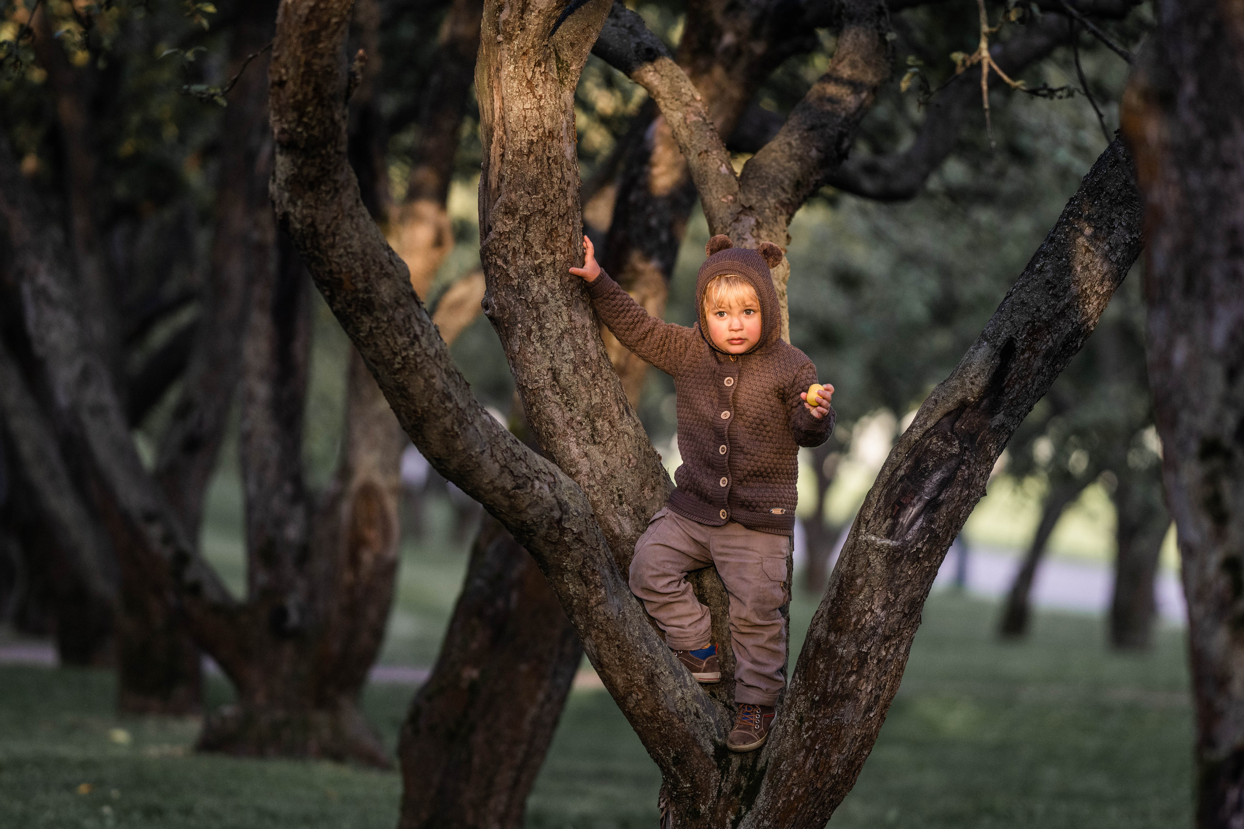 Про яблоки. Семейный фотограф Ефремова Виктория