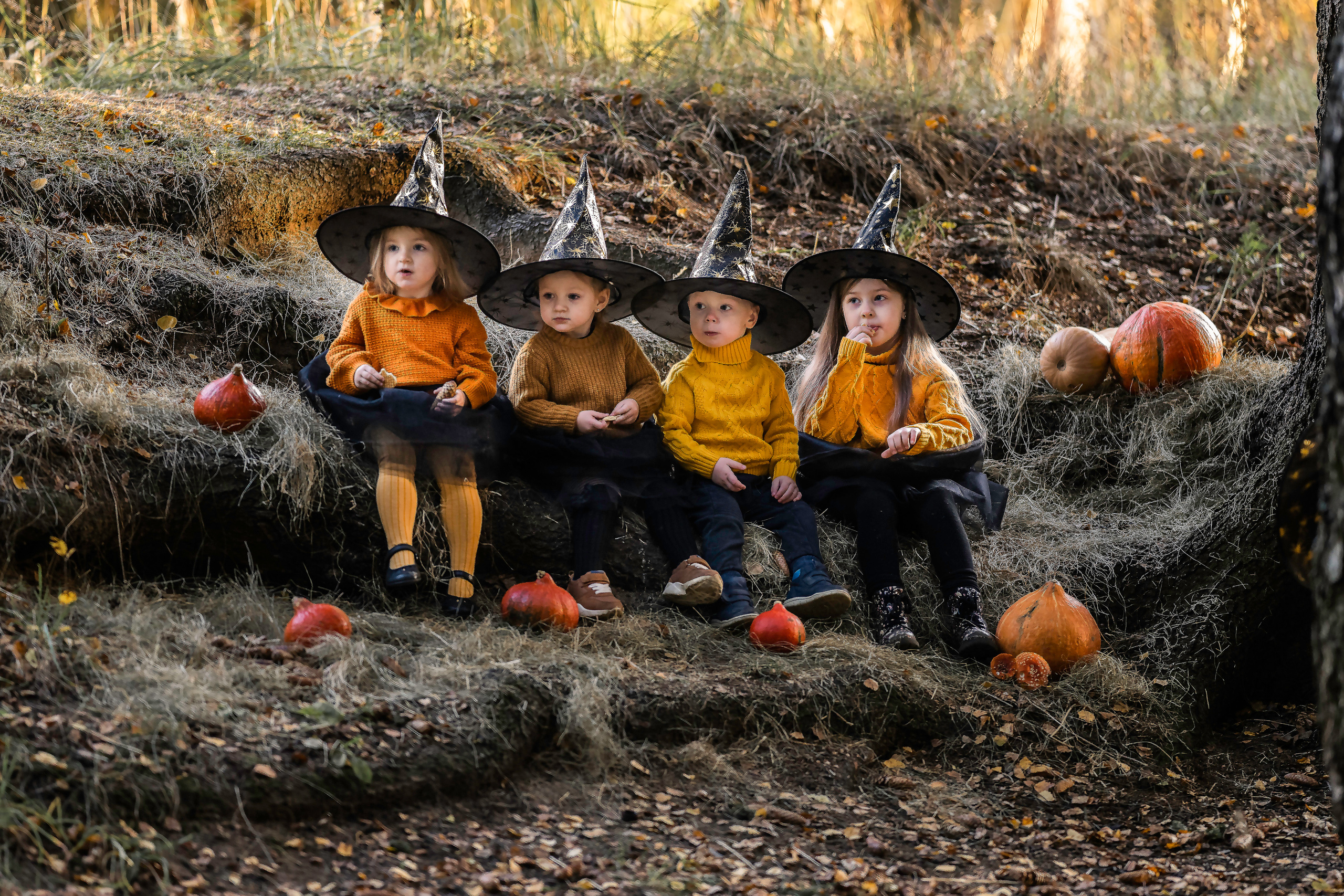 Тыковки). Семейный фотограф Ефремова Виктория