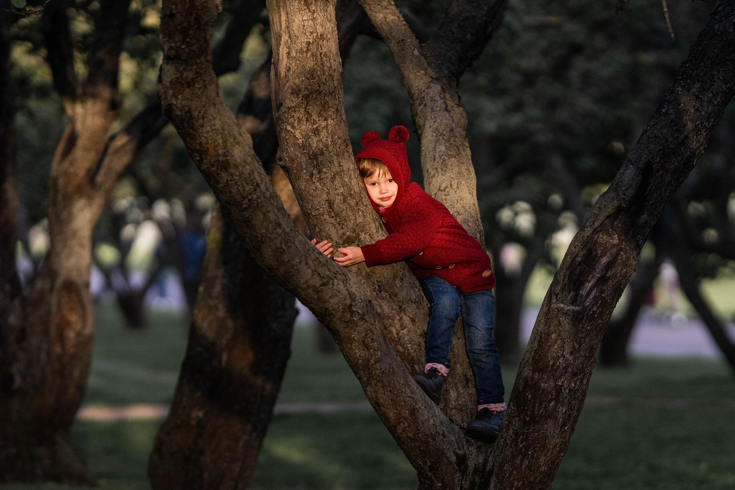 Про яблоки. Семейный фотограф Ефремова Виктория