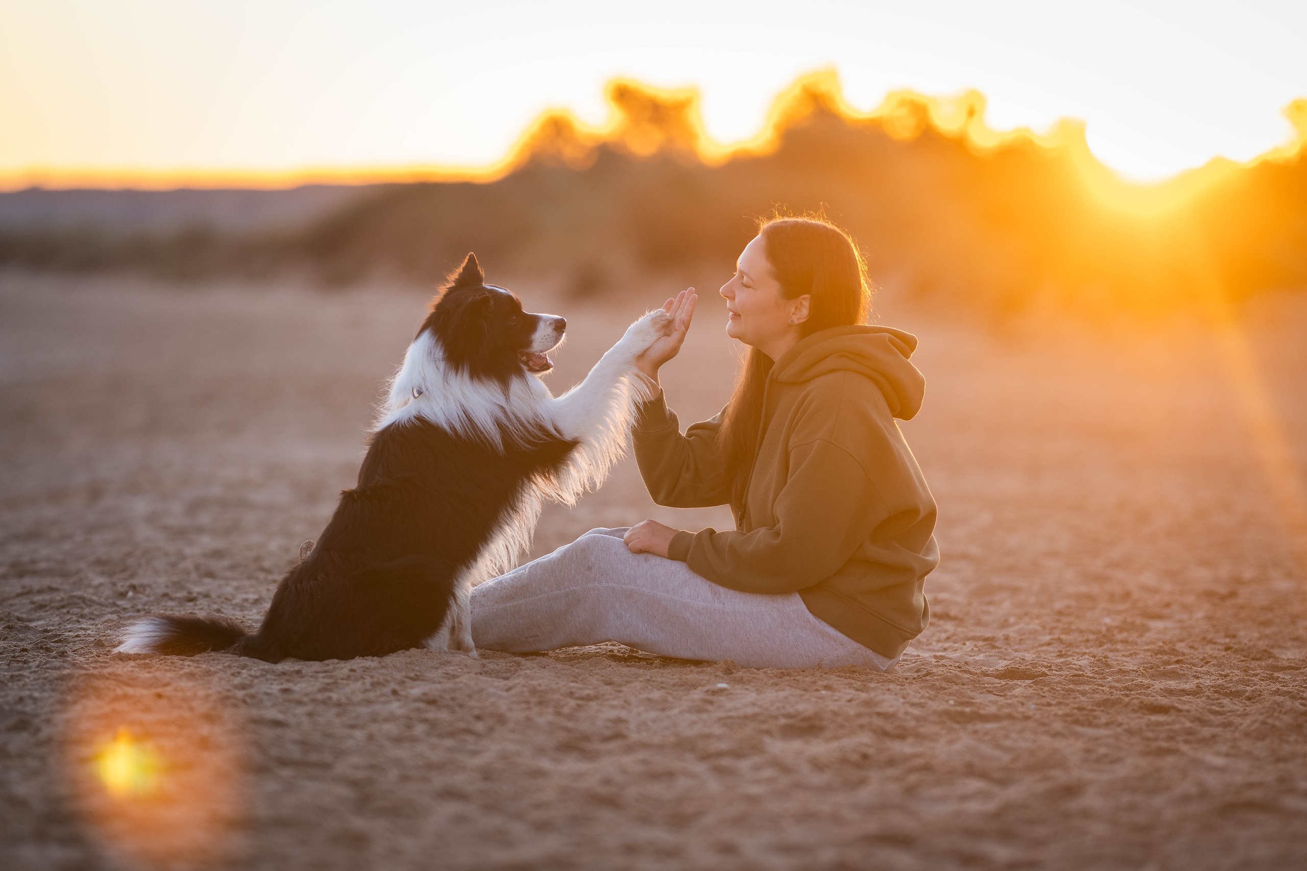 Человек и собака. Семейный фотограф Ефремова Виктория