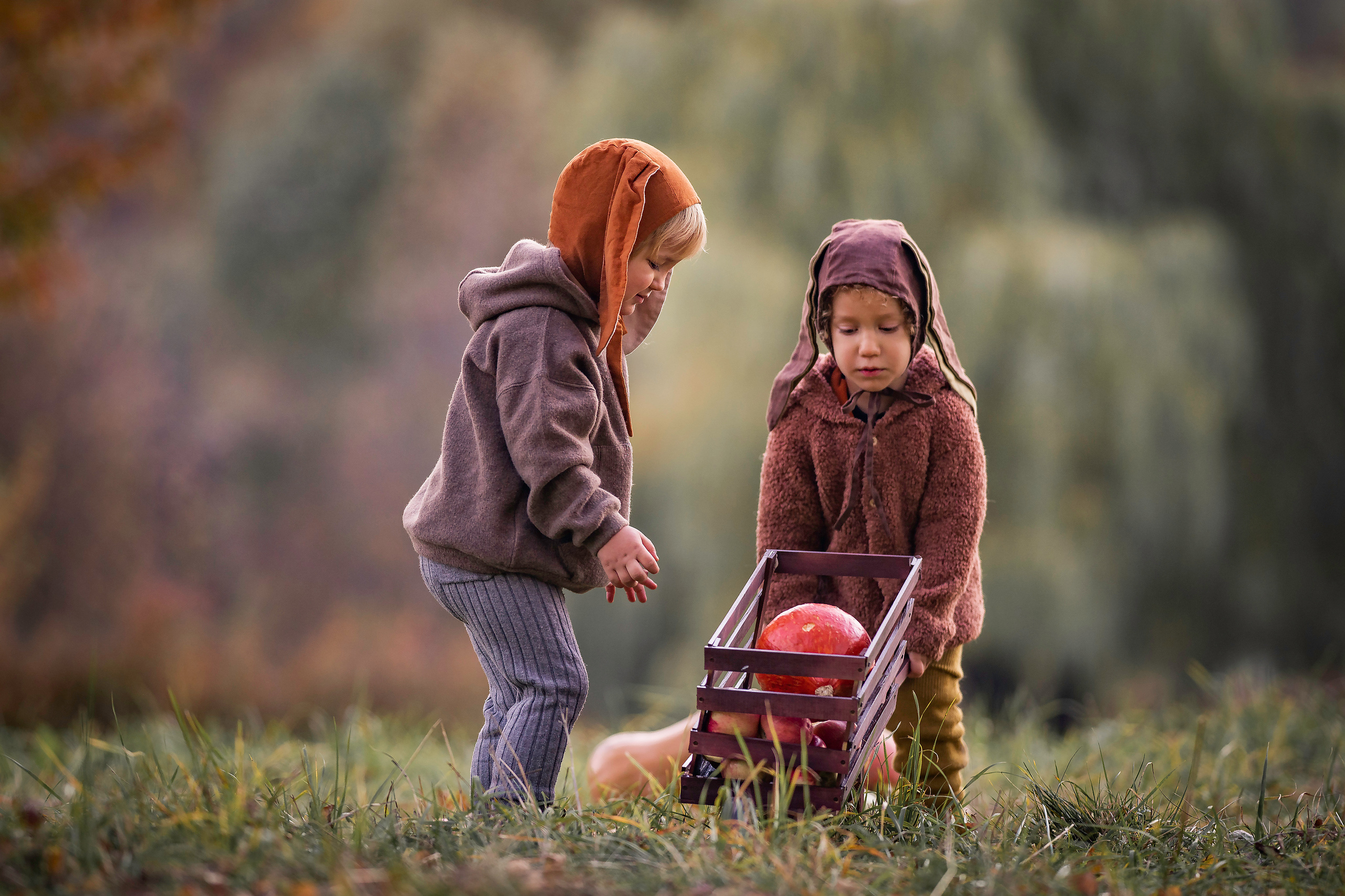 Овощи и малыши. Семейный фотограф Ефремова Виктория