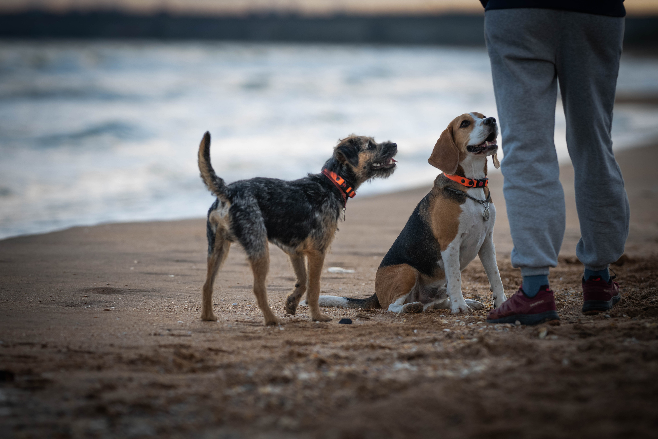 Два плюс два. Семейный фотограф Ефремова Виктория