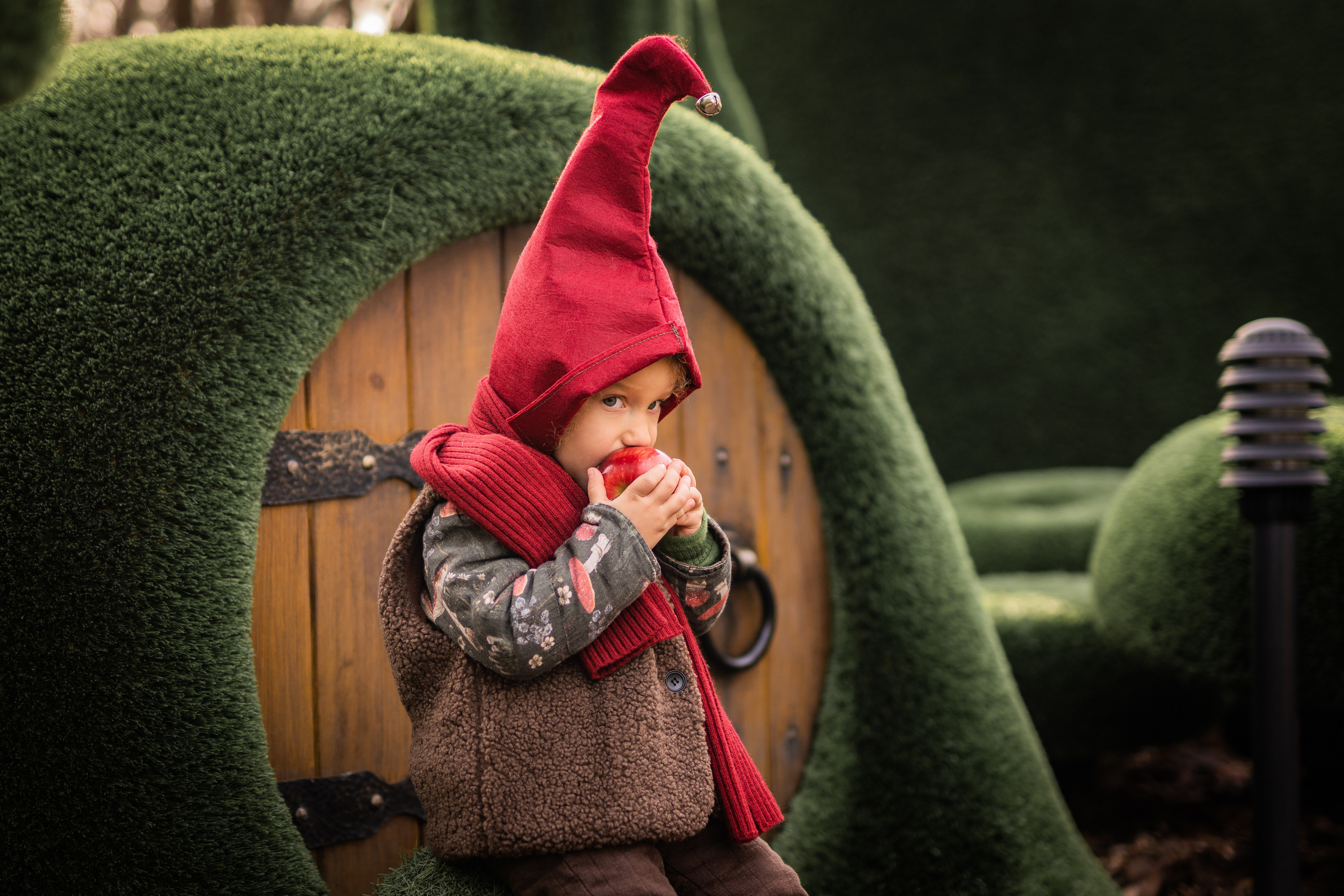 Гномы. Семейный фотограф Ефремова Виктория