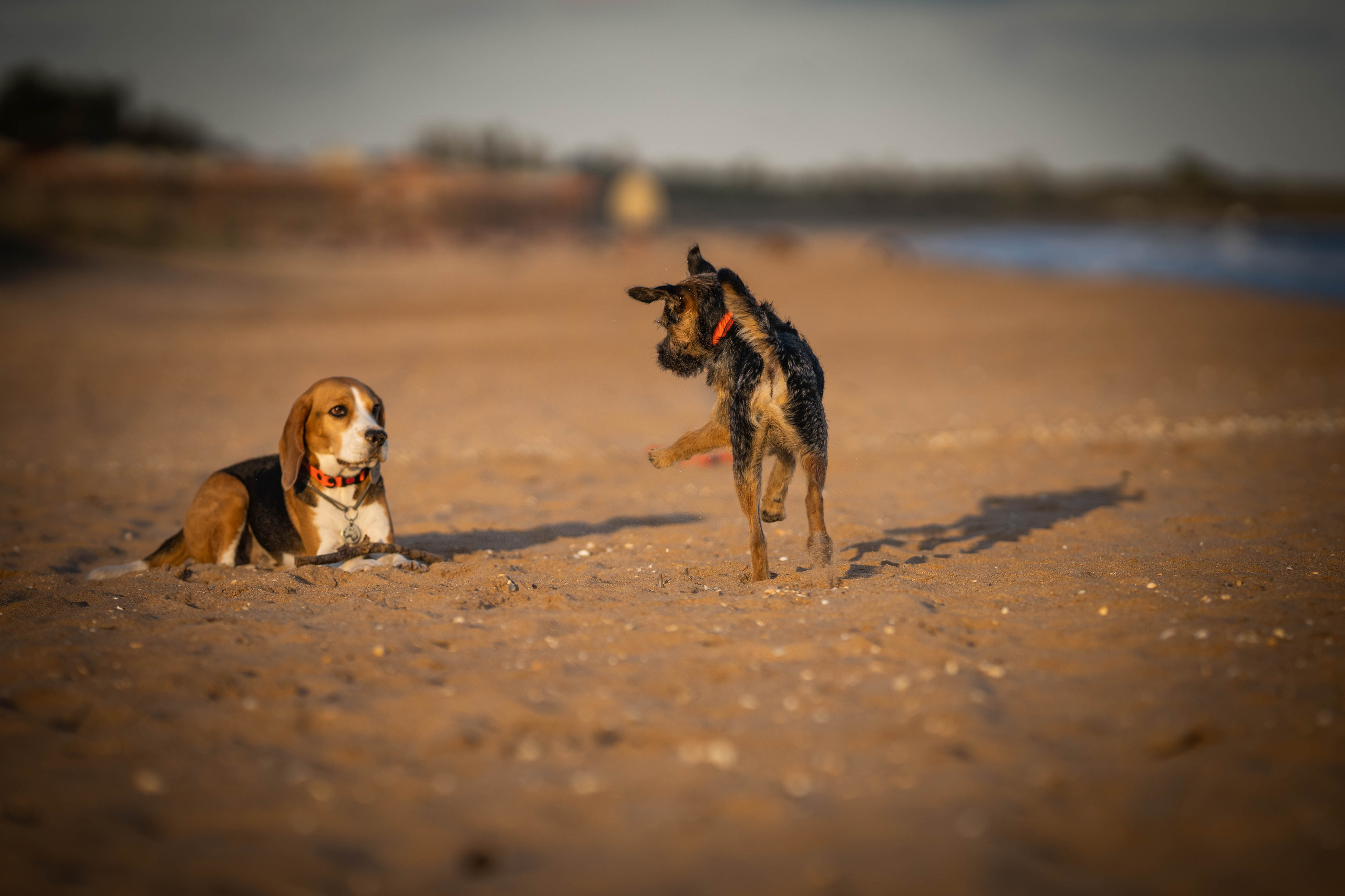 Два плюс два. Семейный фотограф Ефремова Виктория