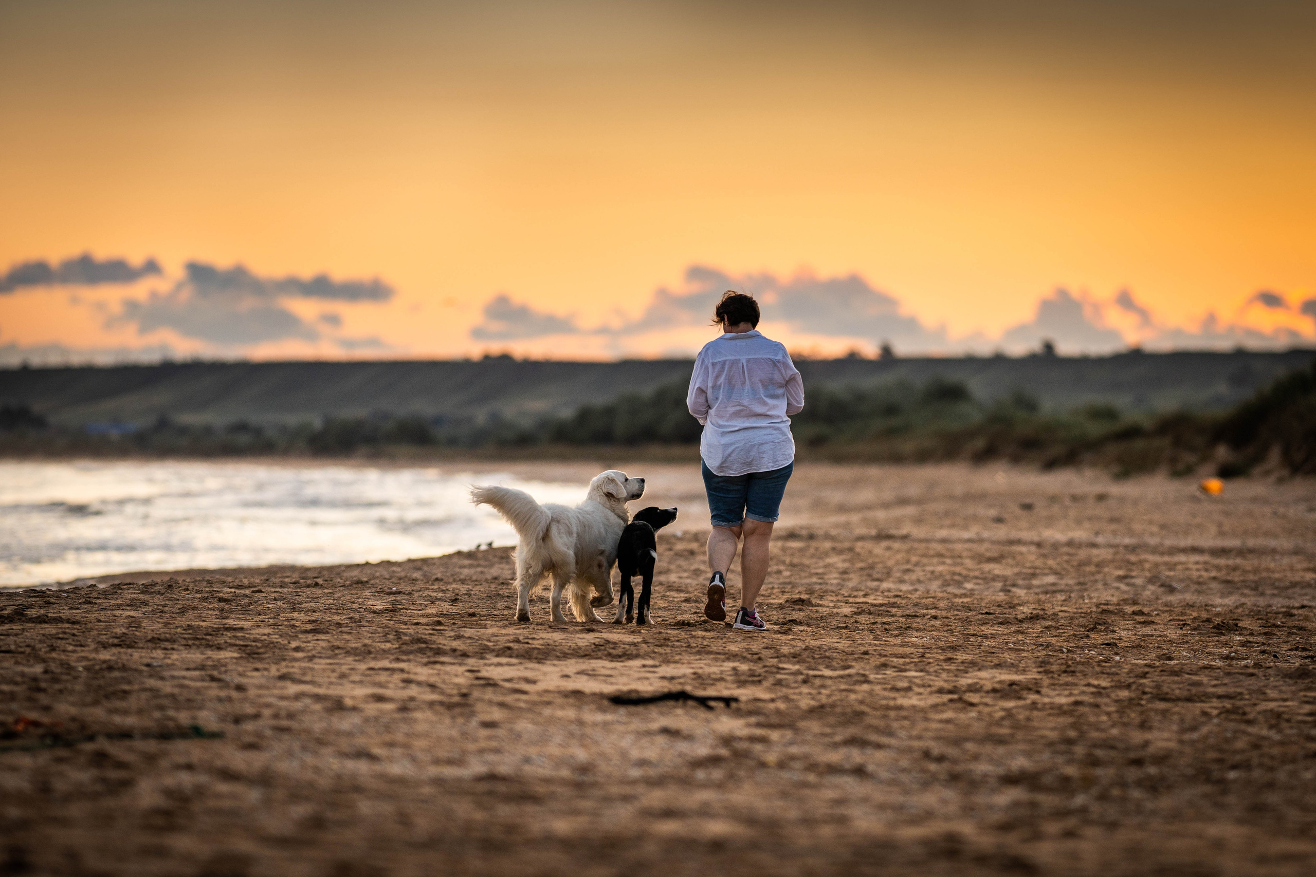 Человек и собака. Семейный фотограф Ефремова Виктория