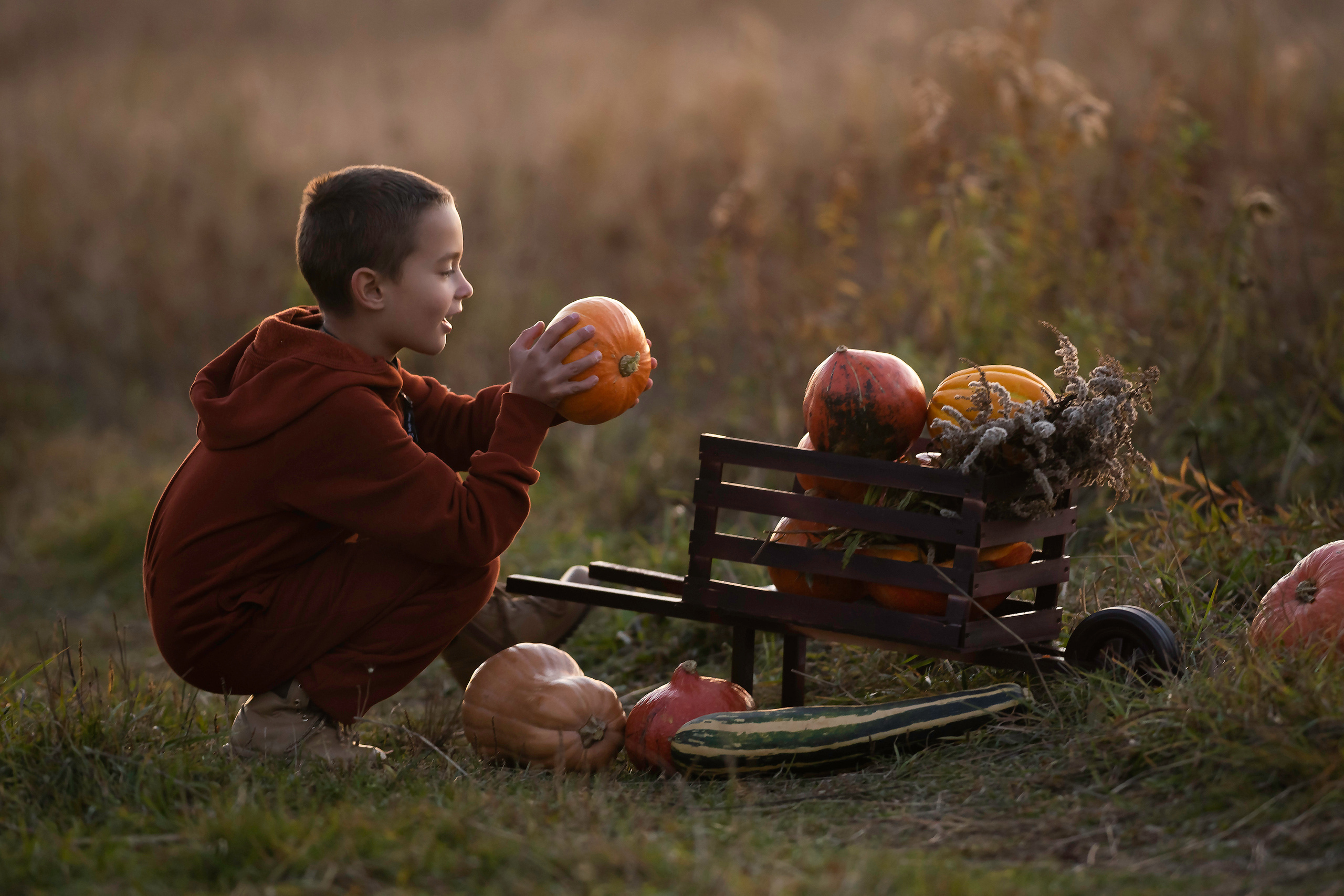 Тыквенная история. Семейный фотограф Ефремова Виктория