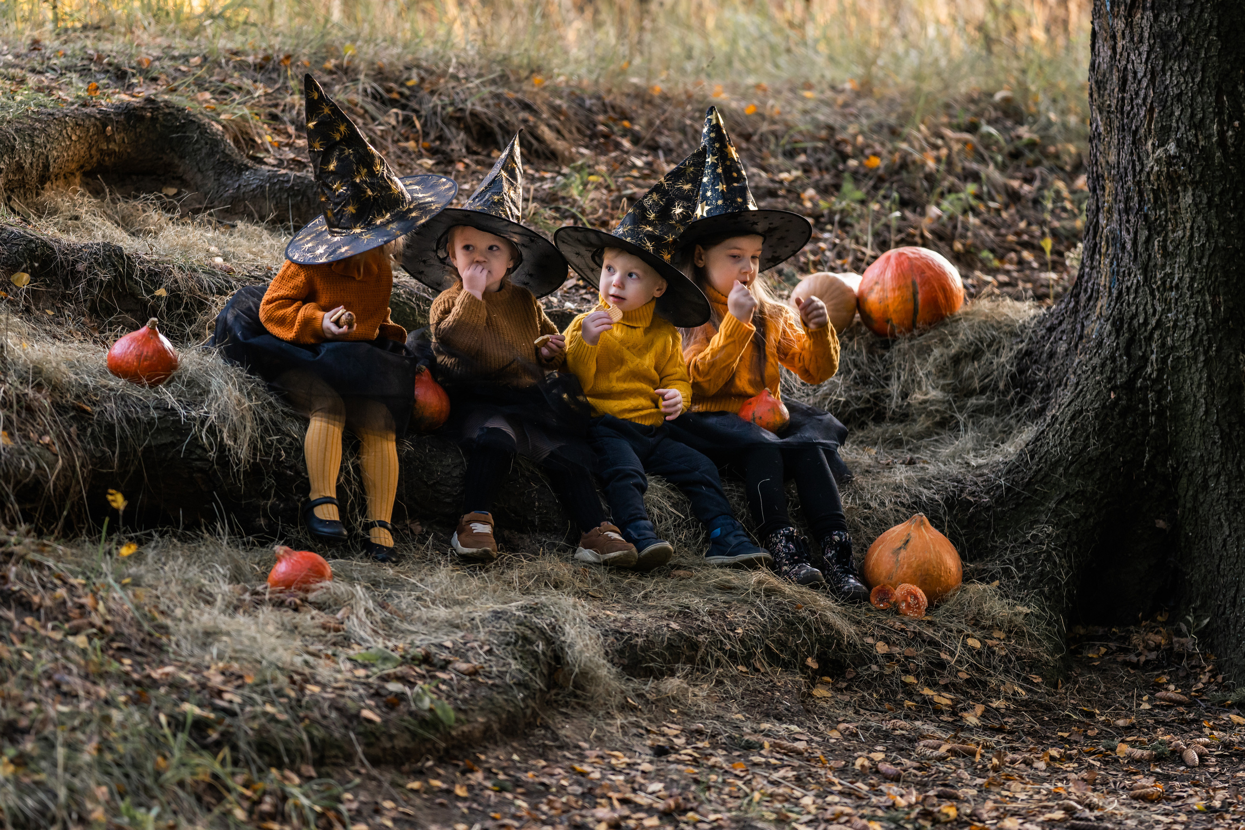 Тыковки). Семейный фотограф Ефремова Виктория