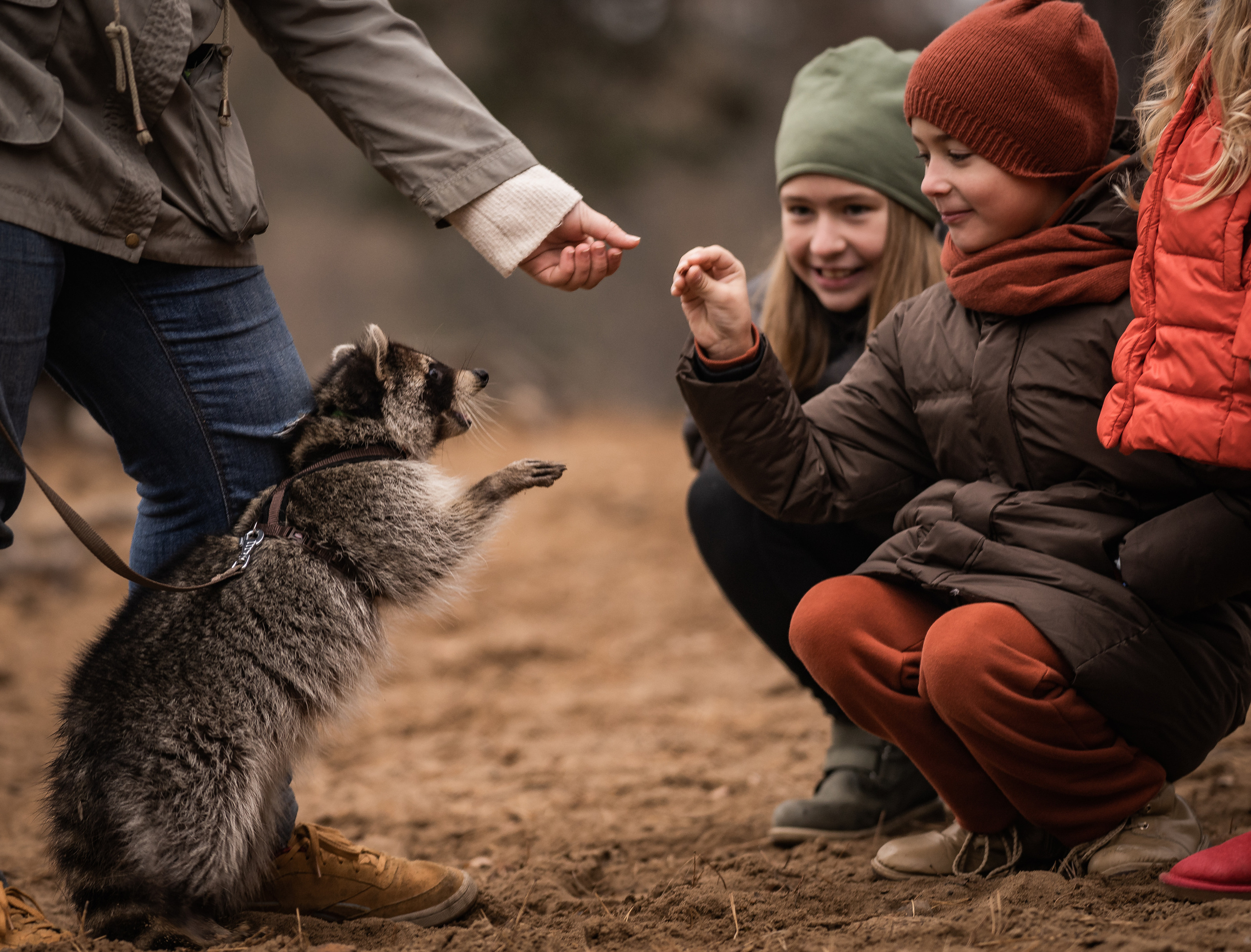 Фотосессии Виктория Ефремова. Семейный фотограф Ефремова Виктория