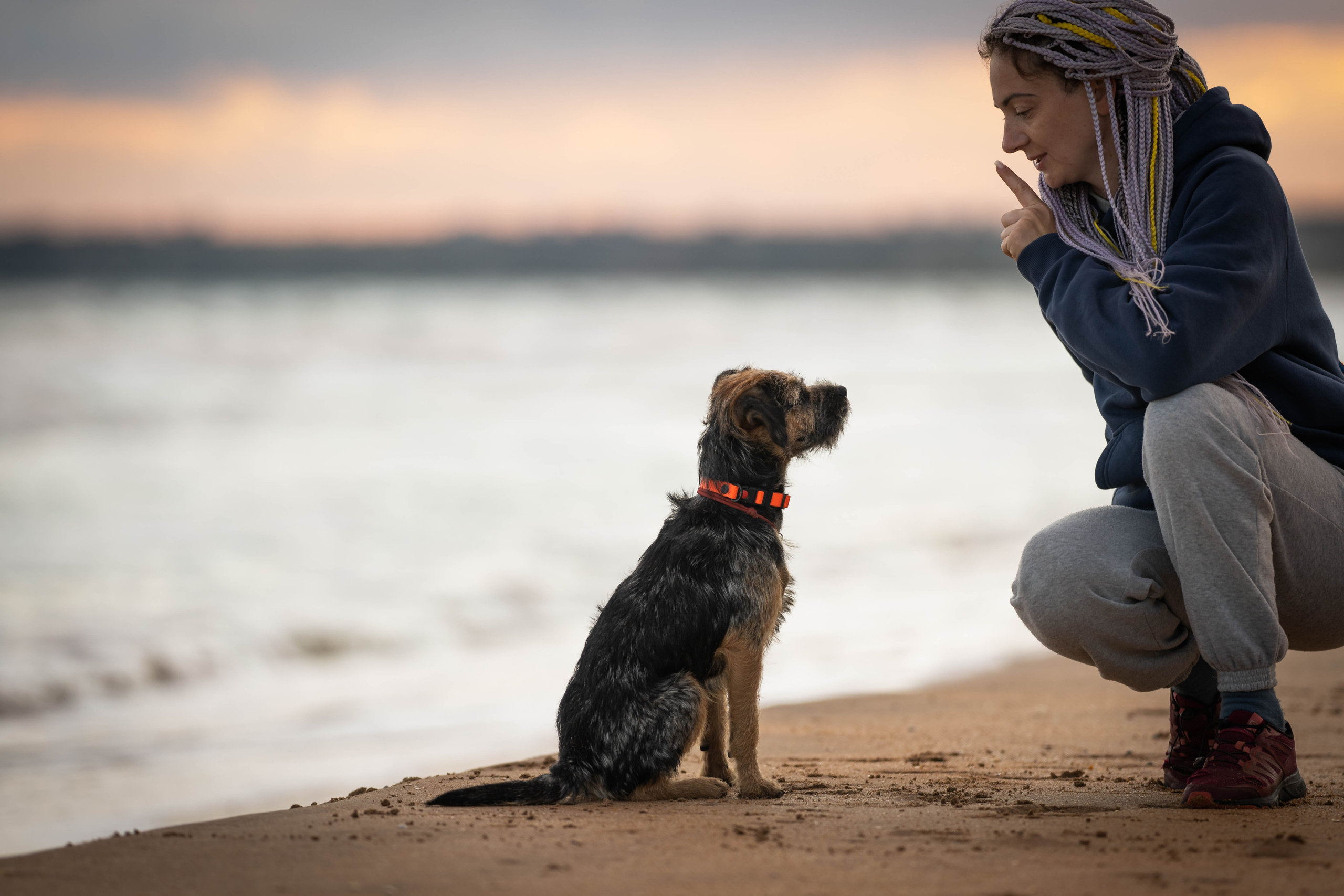 Человек и собака. Семейный фотограф Ефремова Виктория