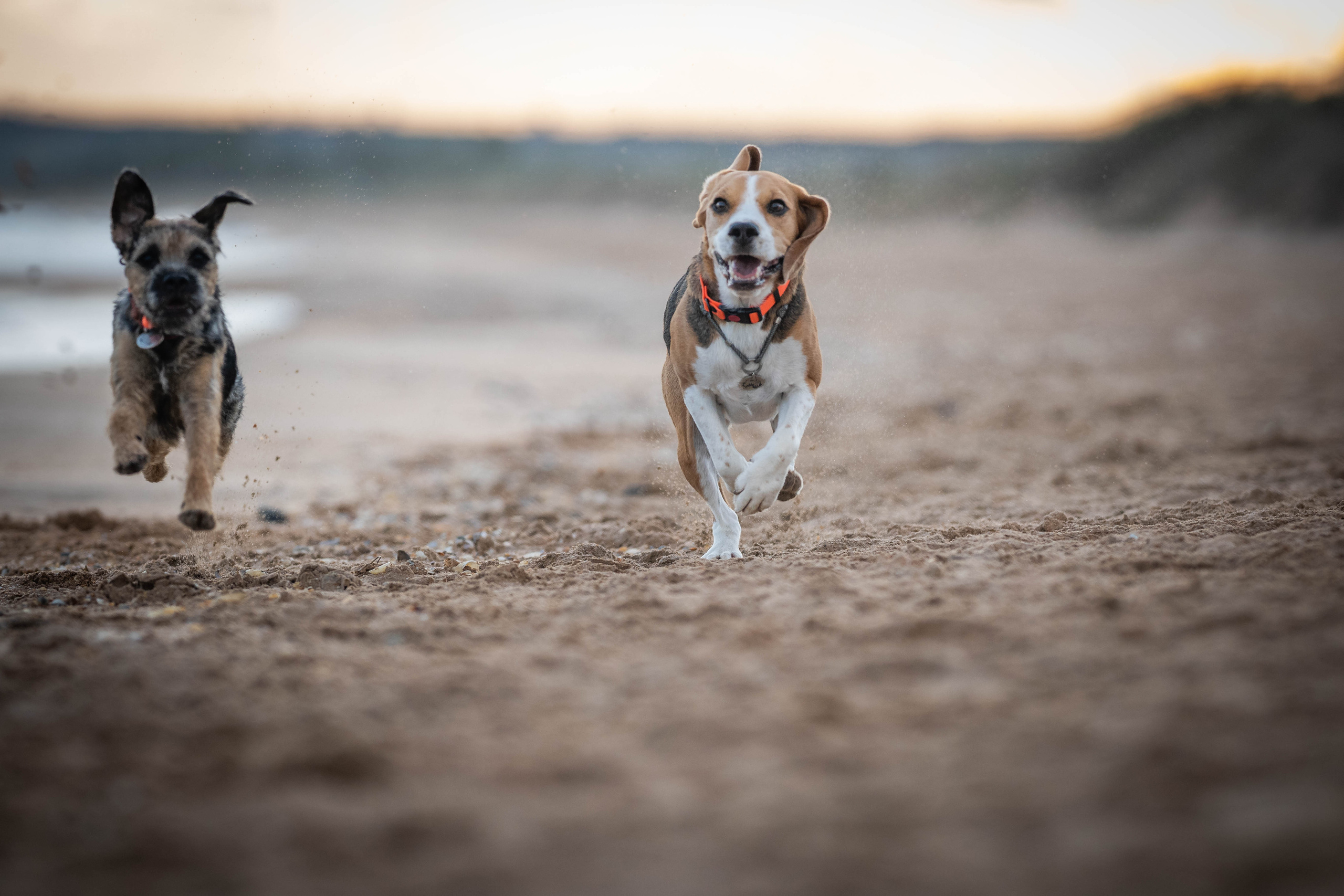 Два плюс два. Семейный фотограф Ефремова Виктория