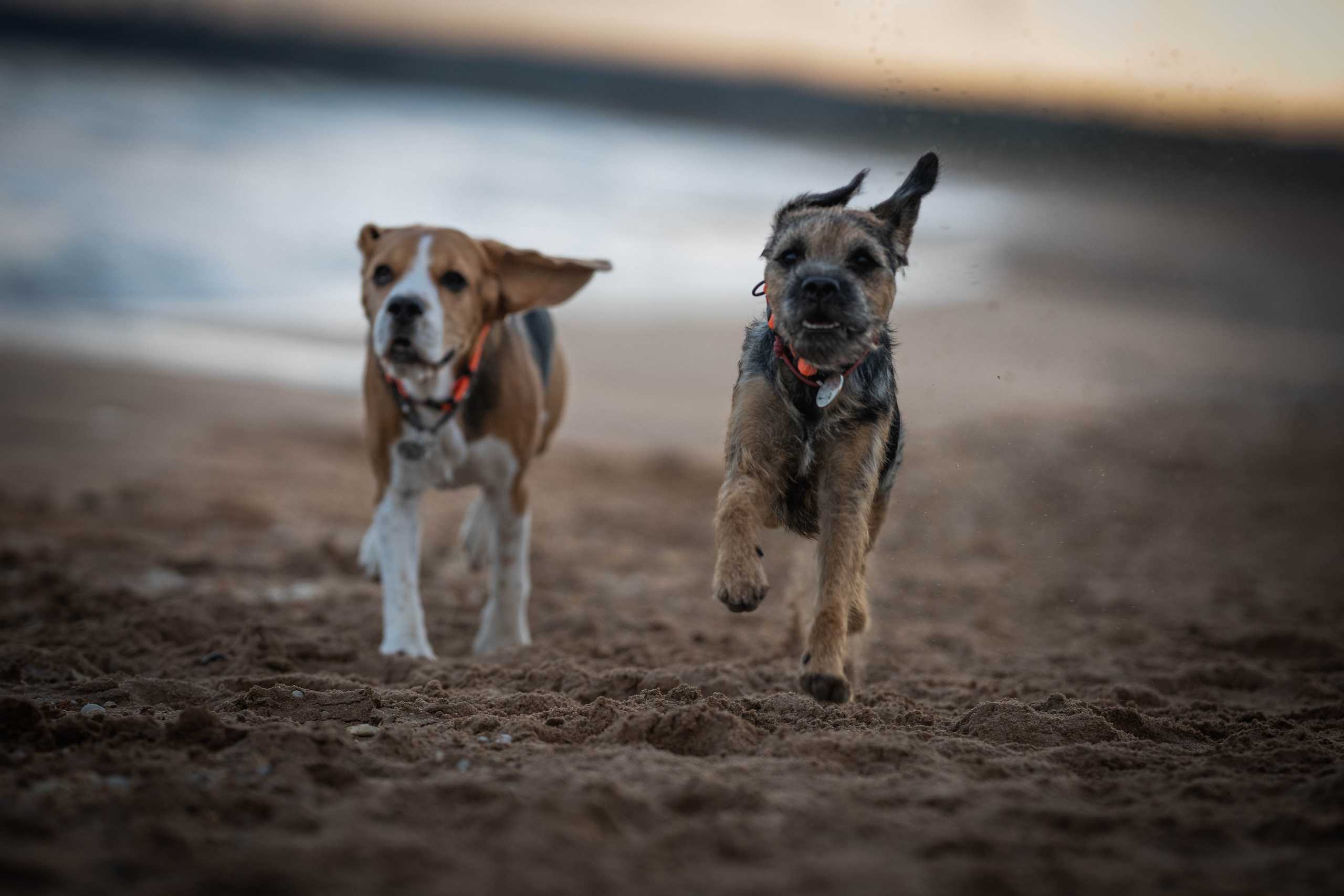 Два плюс два. Семейный фотограф Ефремова Виктория