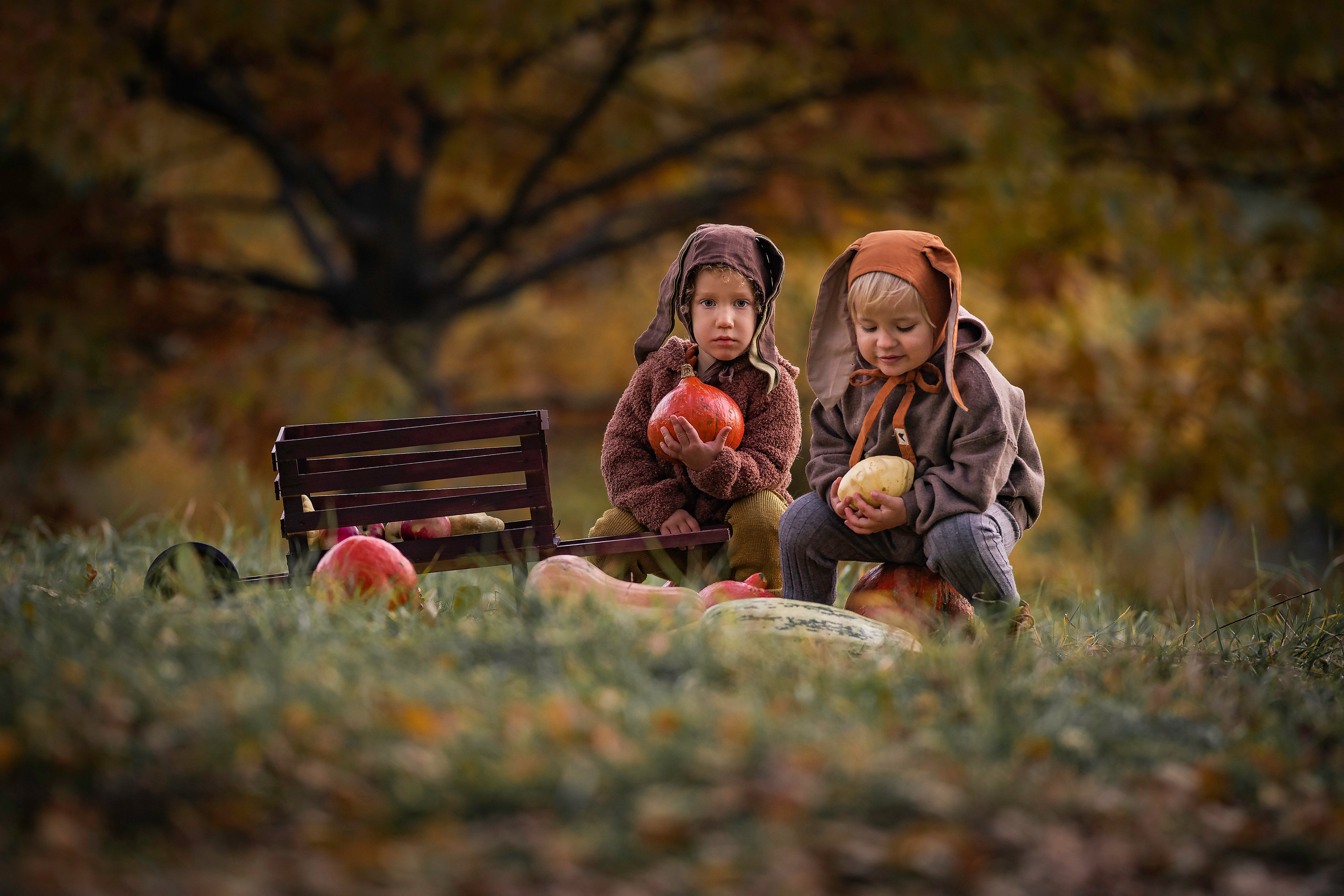 Овощи и малыши. Семейный фотограф Ефремова Виктория
