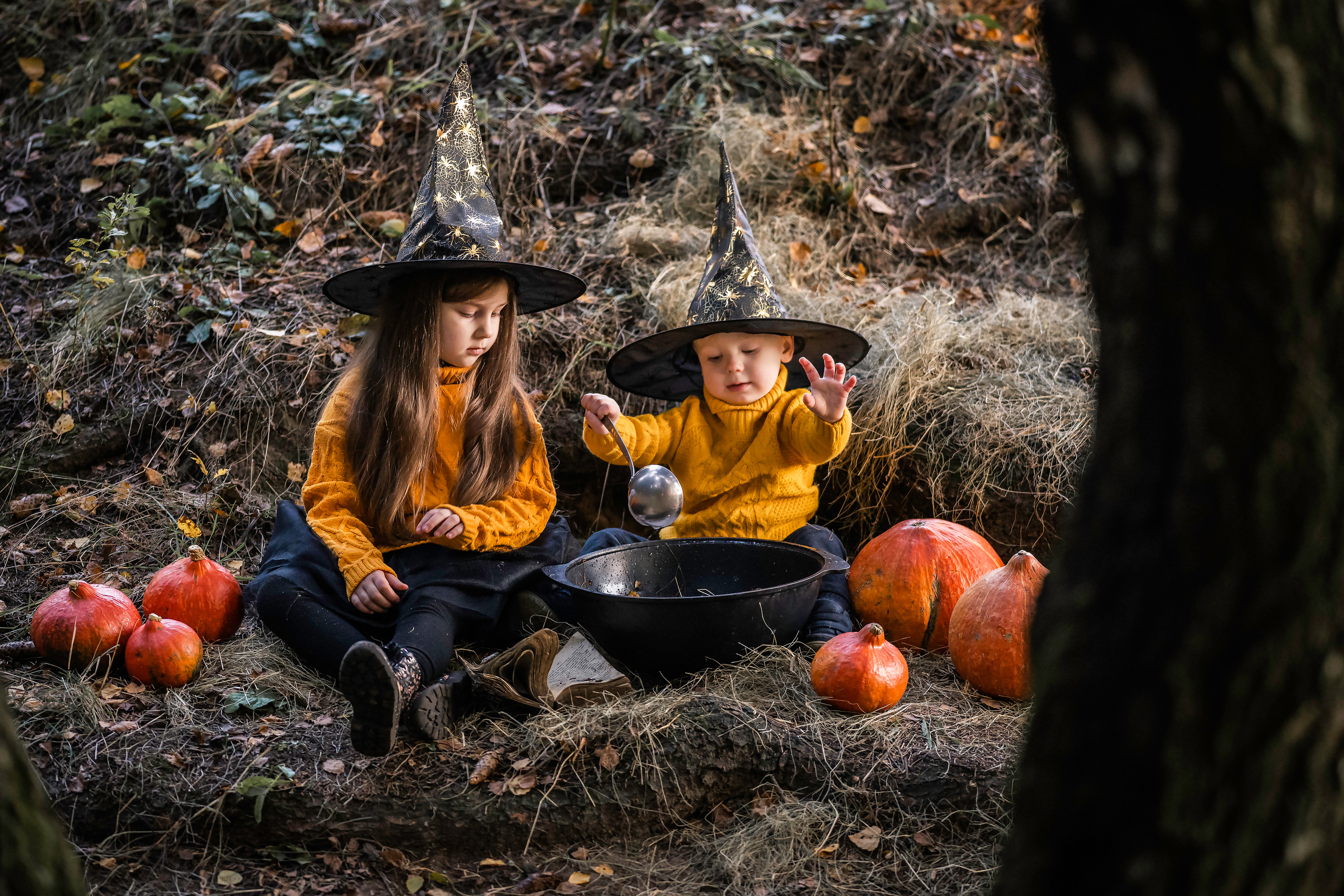 Тыковки). Семейный фотограф Ефремова Виктория