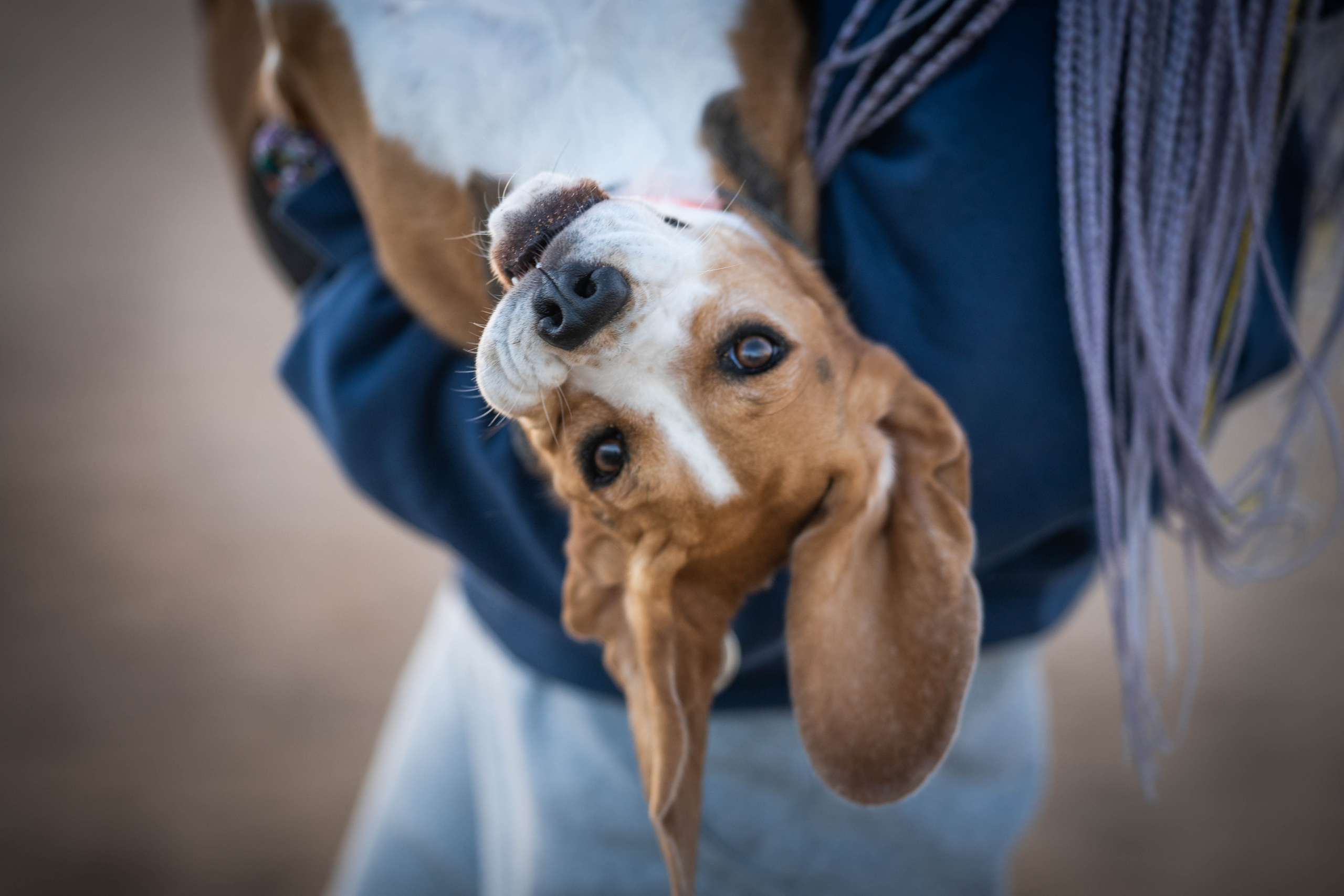 Человек и собака. Семейный фотограф Ефремова Виктория