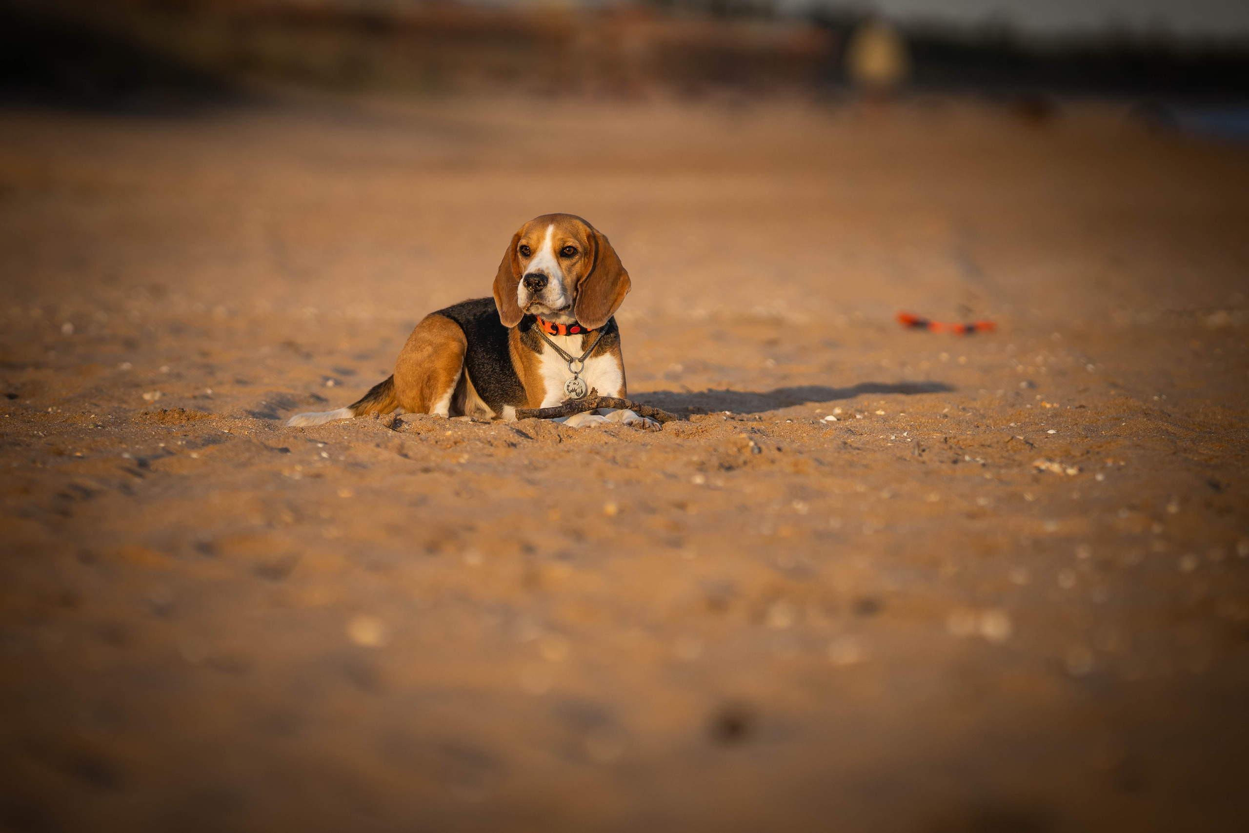 Два плюс два. Семейный фотограф Ефремова Виктория