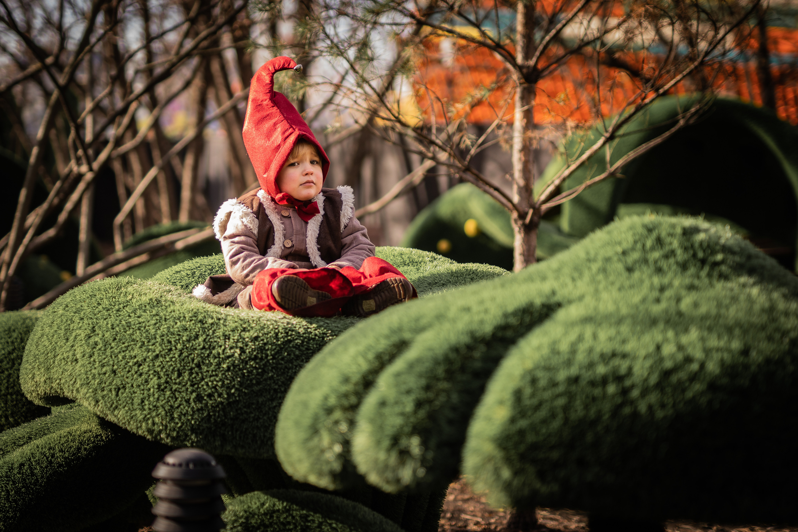 Гномы. Семейный фотограф Ефремова Виктория