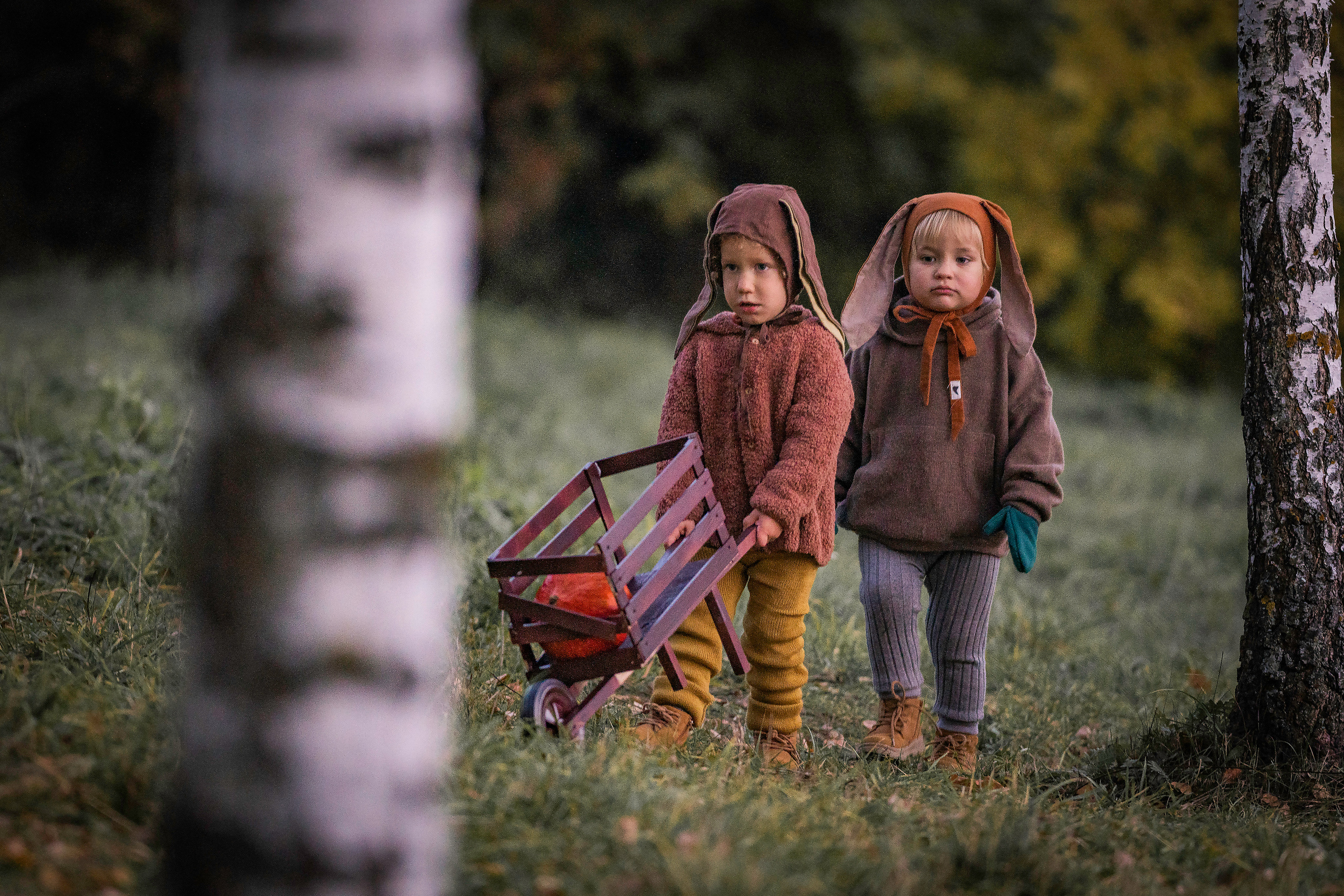 Овощи и малыши. Семейный фотограф Ефремова Виктория
