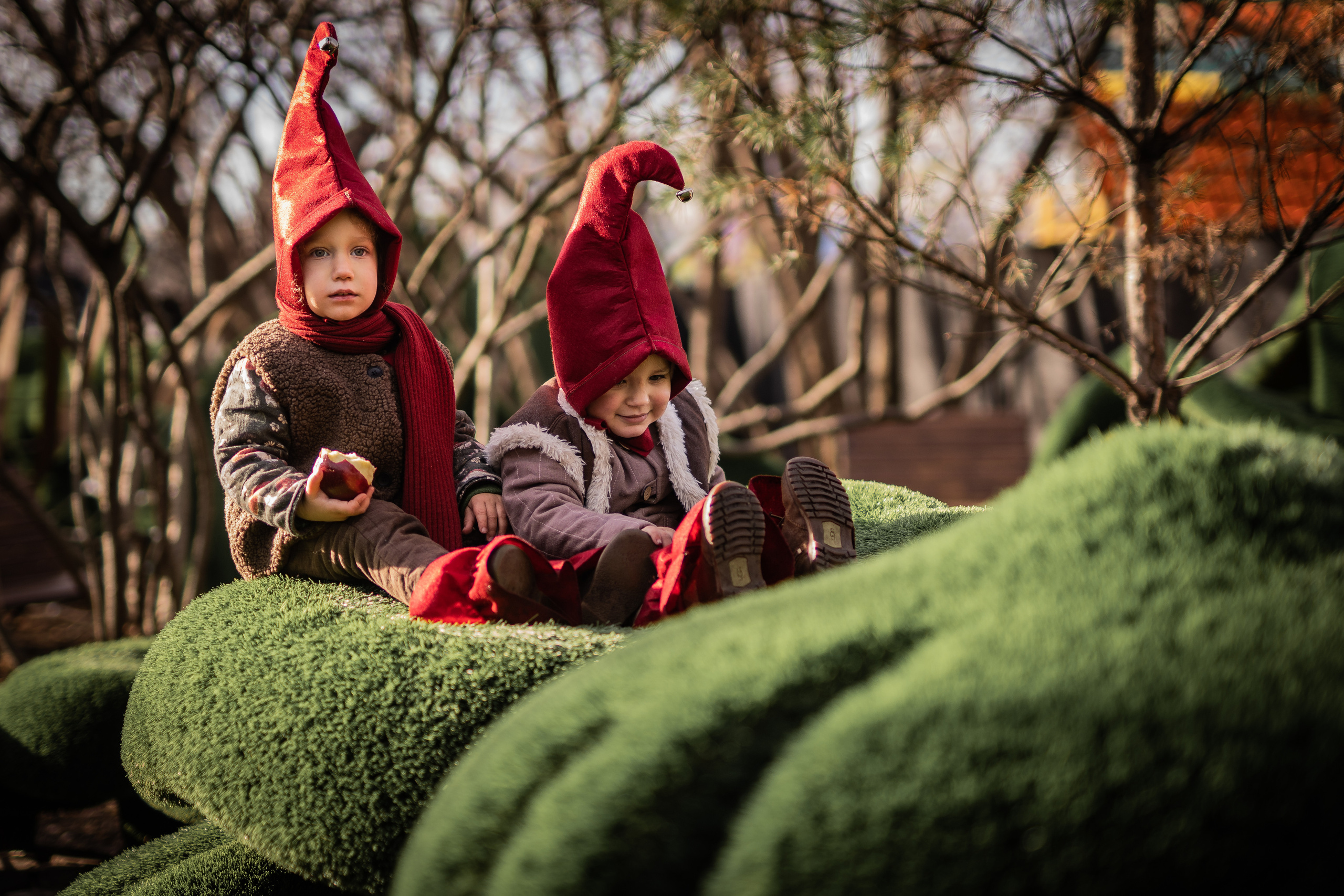 Гномы. Семейный фотограф Ефремова Виктория