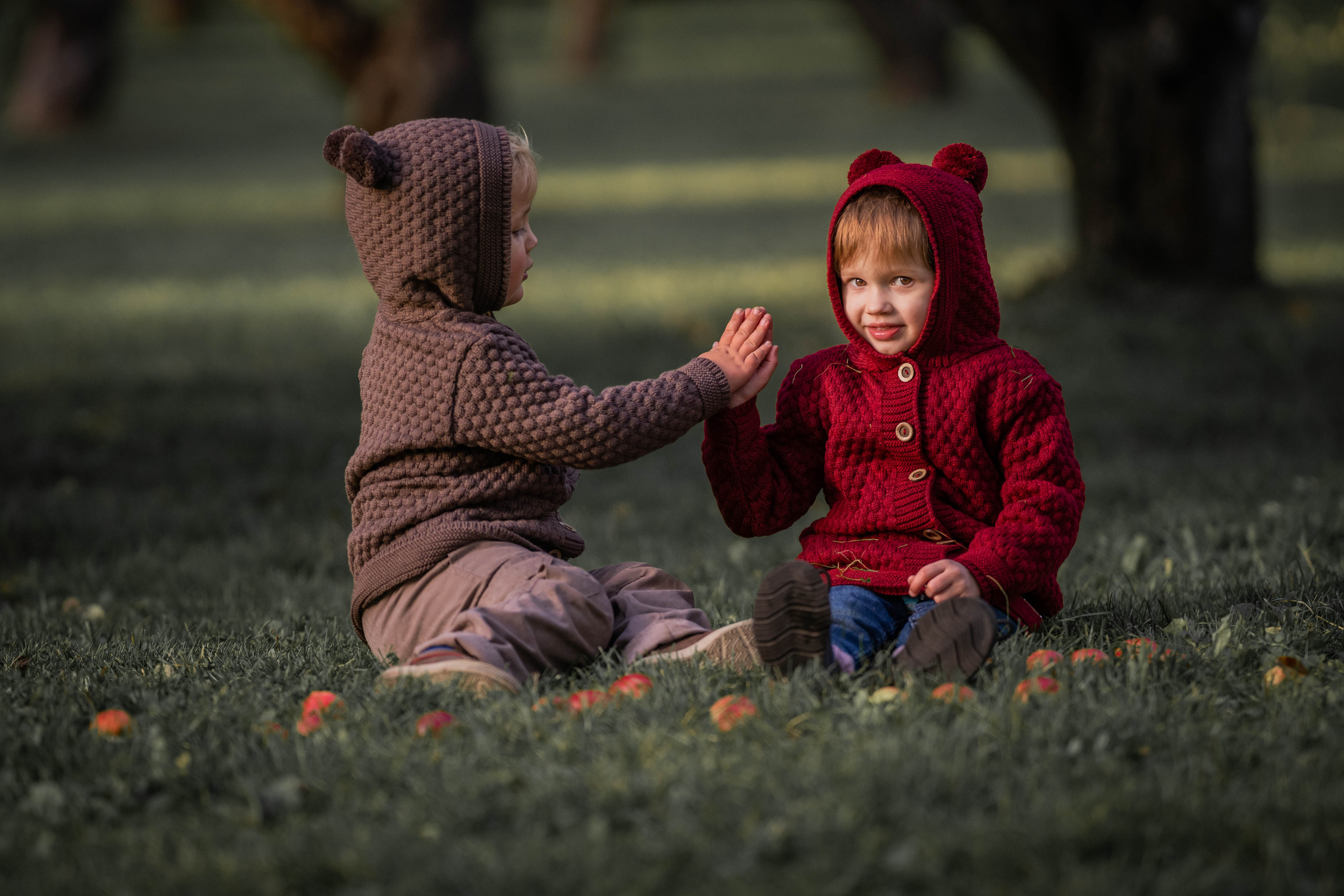 Про яблоки. Семейный фотограф Ефремова Виктория