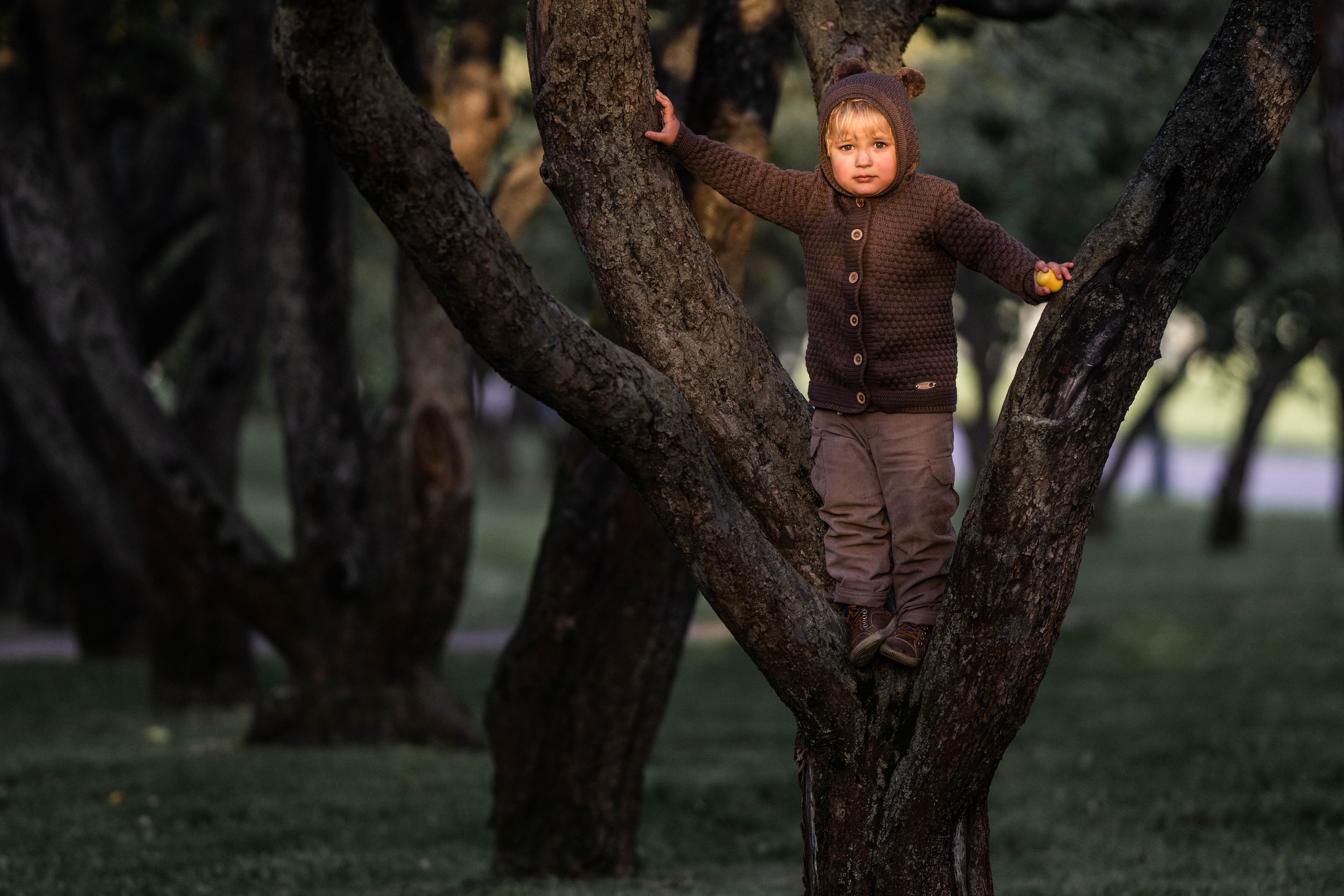 Про яблоки. Семейный фотограф Ефремова Виктория