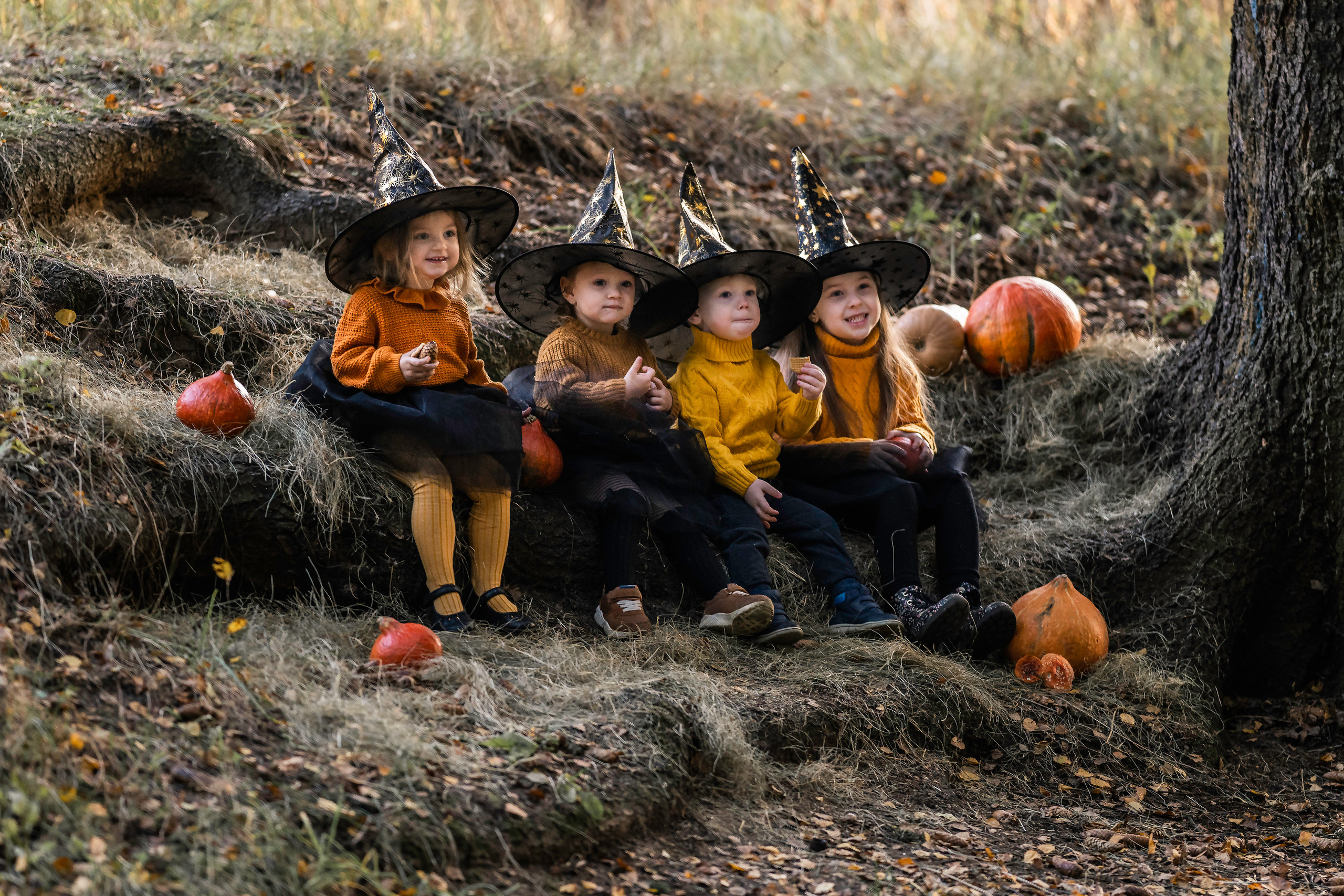 Тыковки). Семейный фотограф Ефремова Виктория