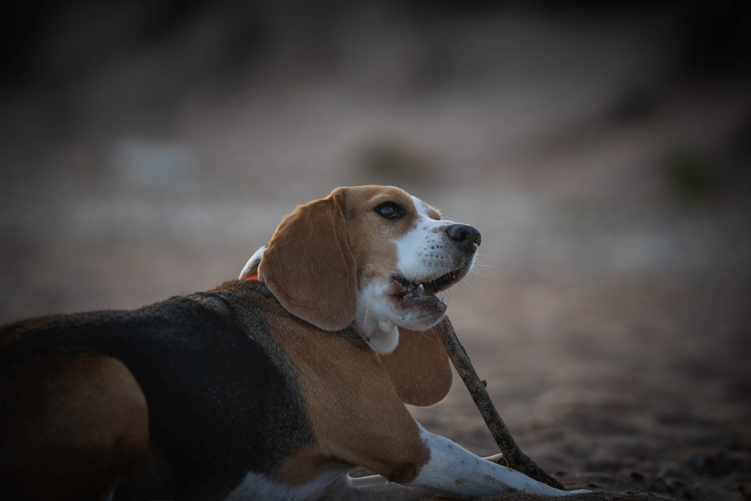 Два плюс два. Семейный фотограф Ефремова Виктория