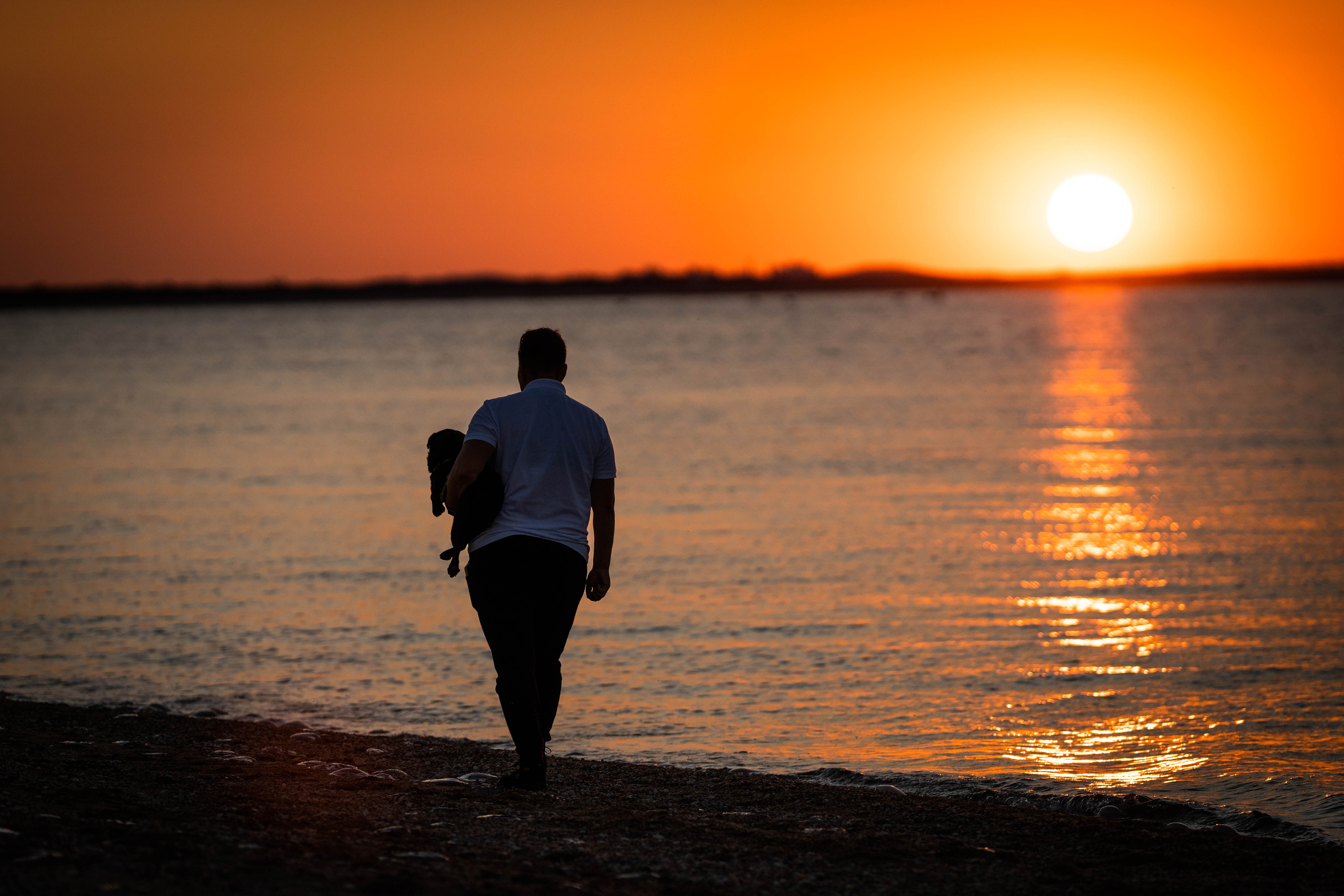 Человек и собака. Семейный фотограф Ефремова Виктория