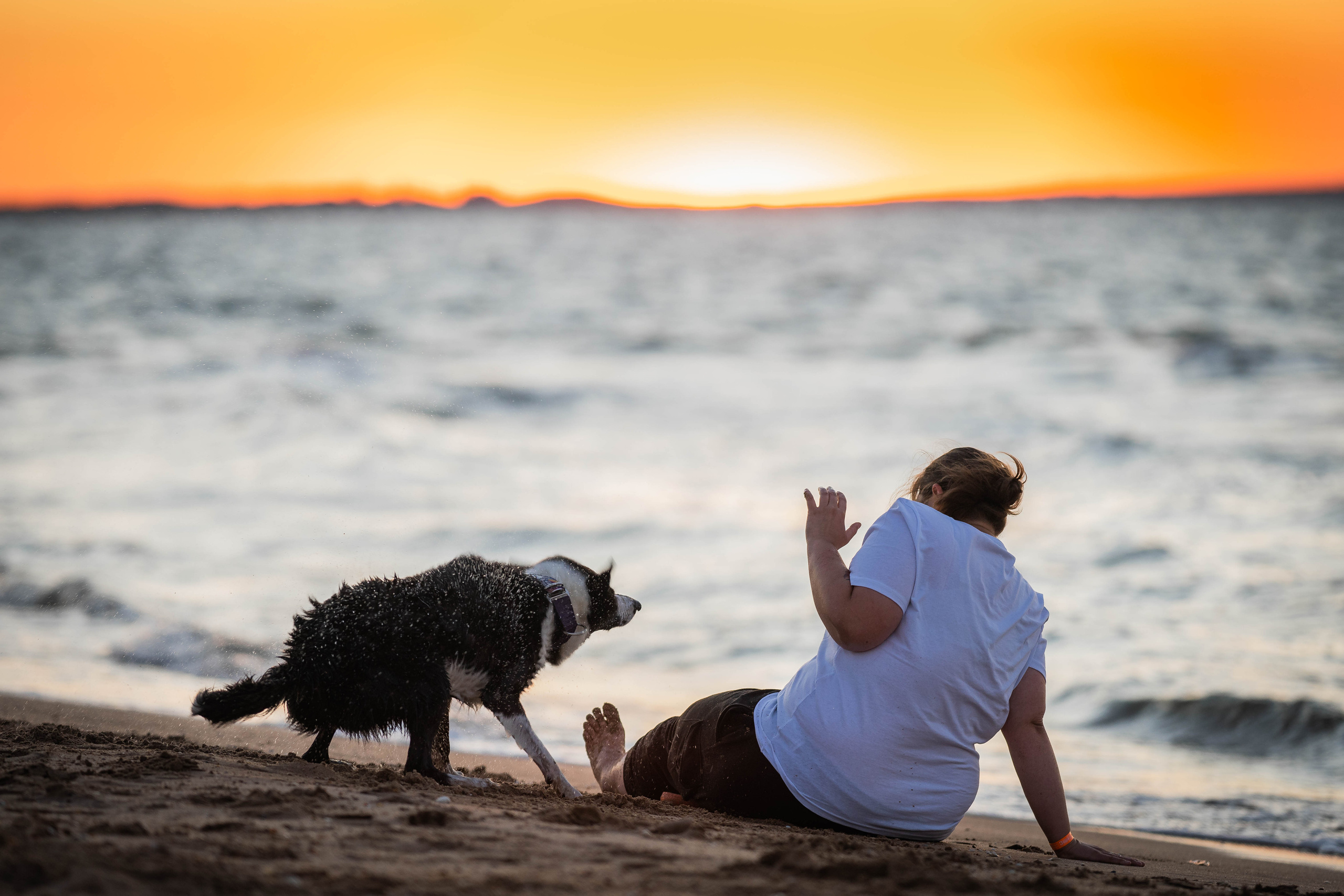Человек и собака. Семейный фотограф Ефремова Виктория
