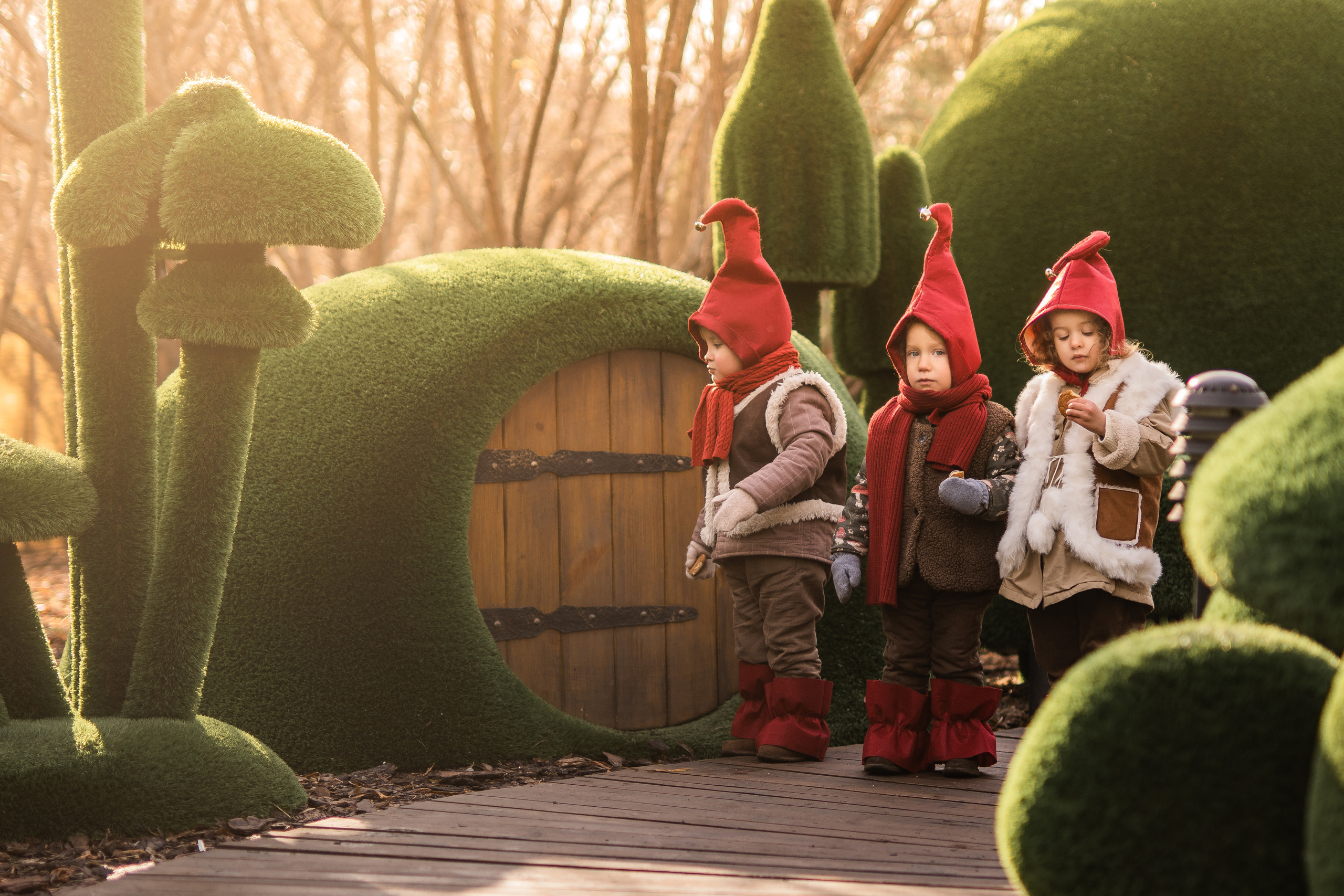 Гномы. Семейный фотограф Ефремова Виктория