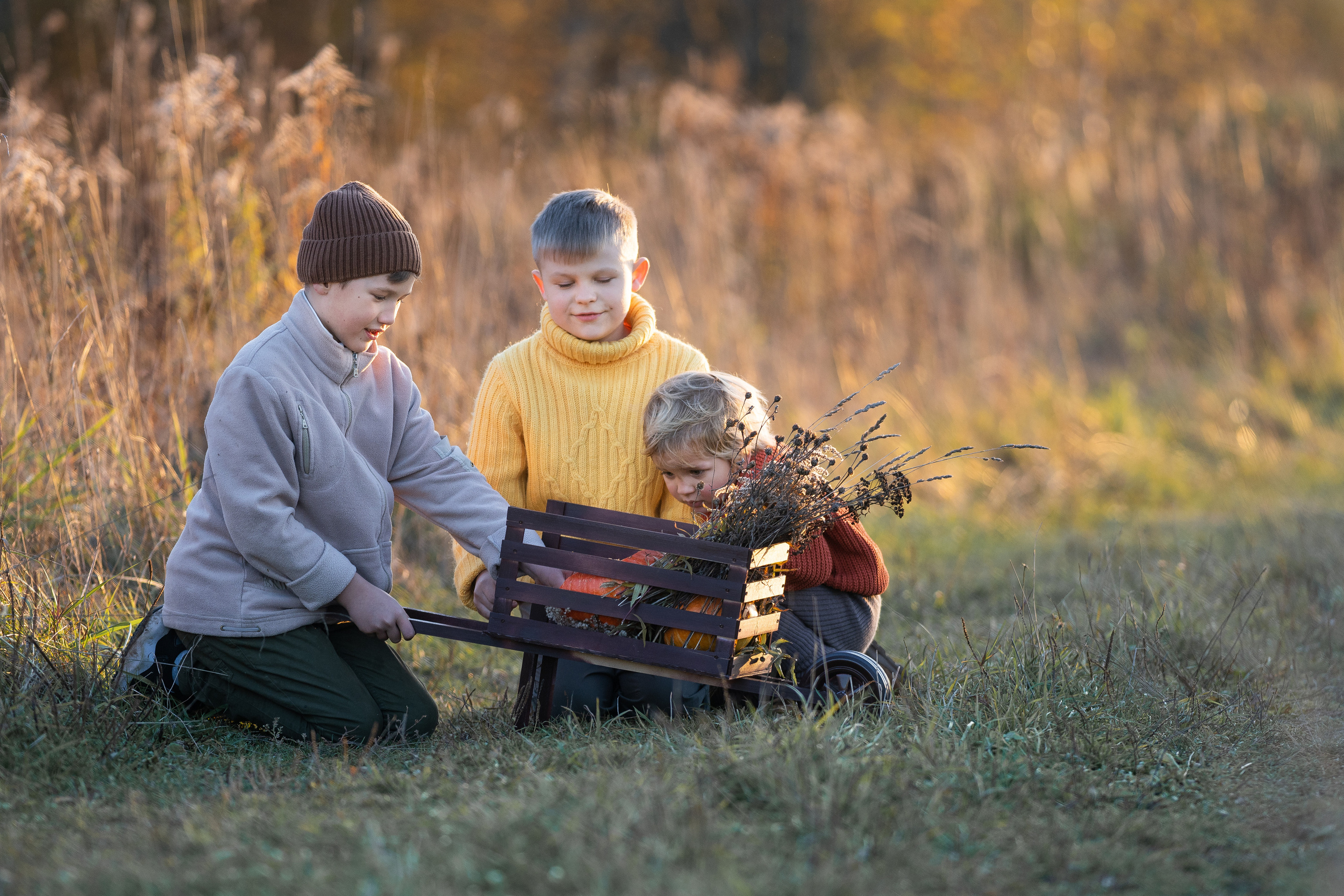 Тыквенная история. Семейный фотограф Ефремова Виктория