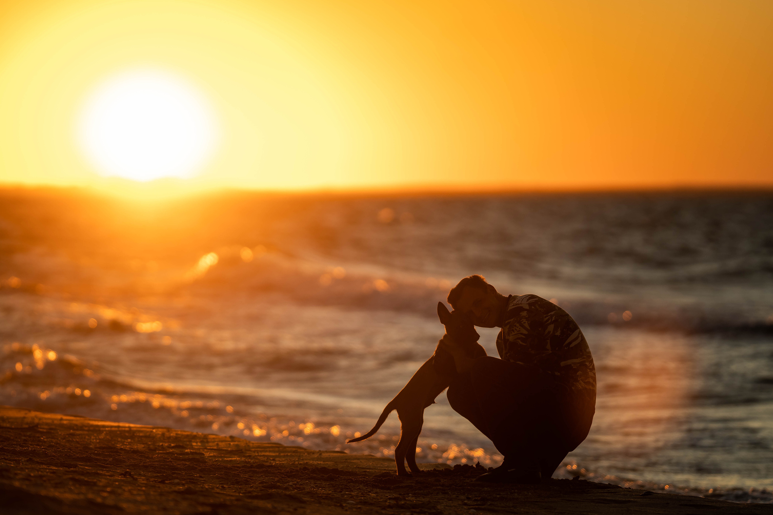 Человек и собака. Семейный фотограф Ефремова Виктория