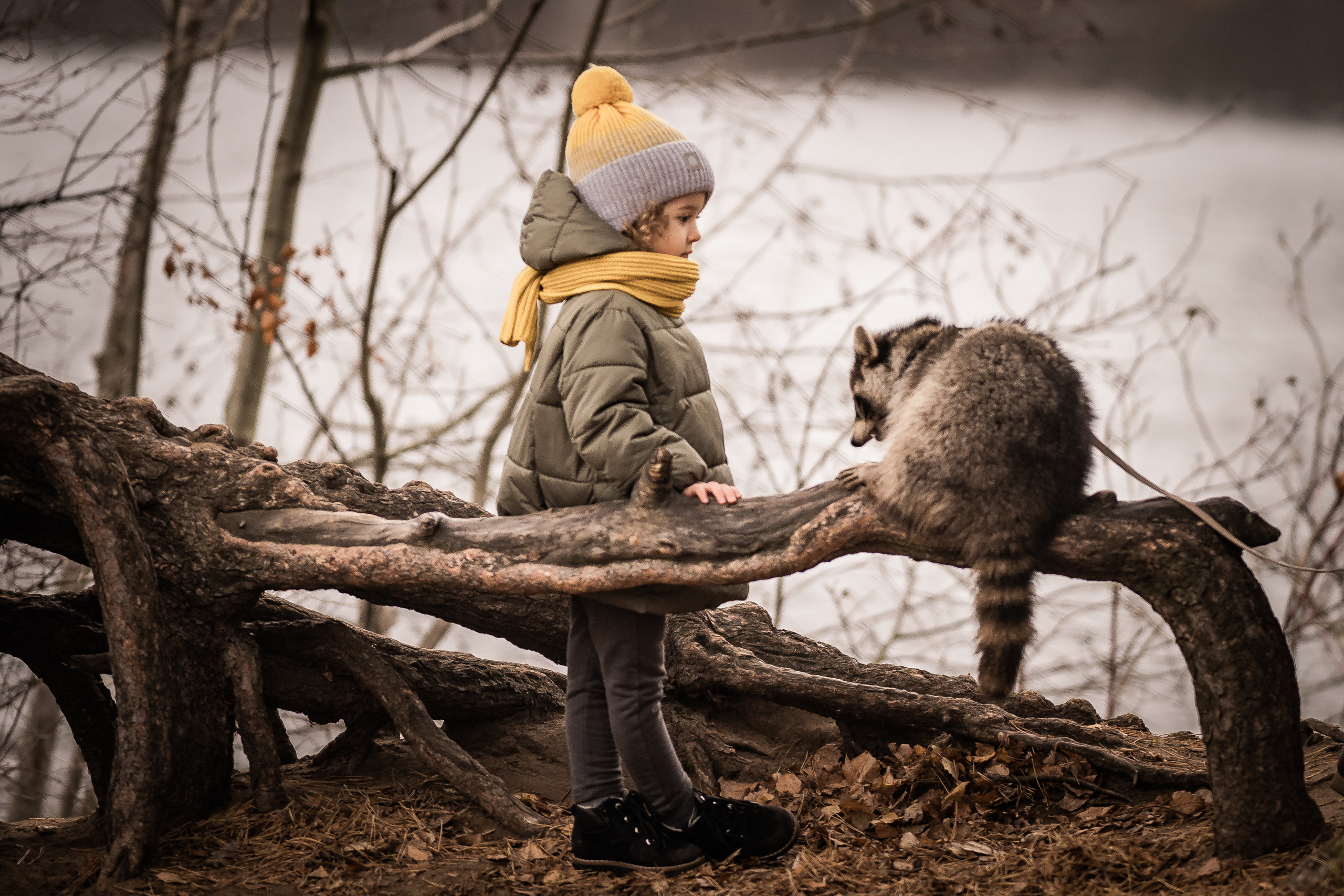 Серебряный Бор. Семейный фотограф Ефремова Виктория