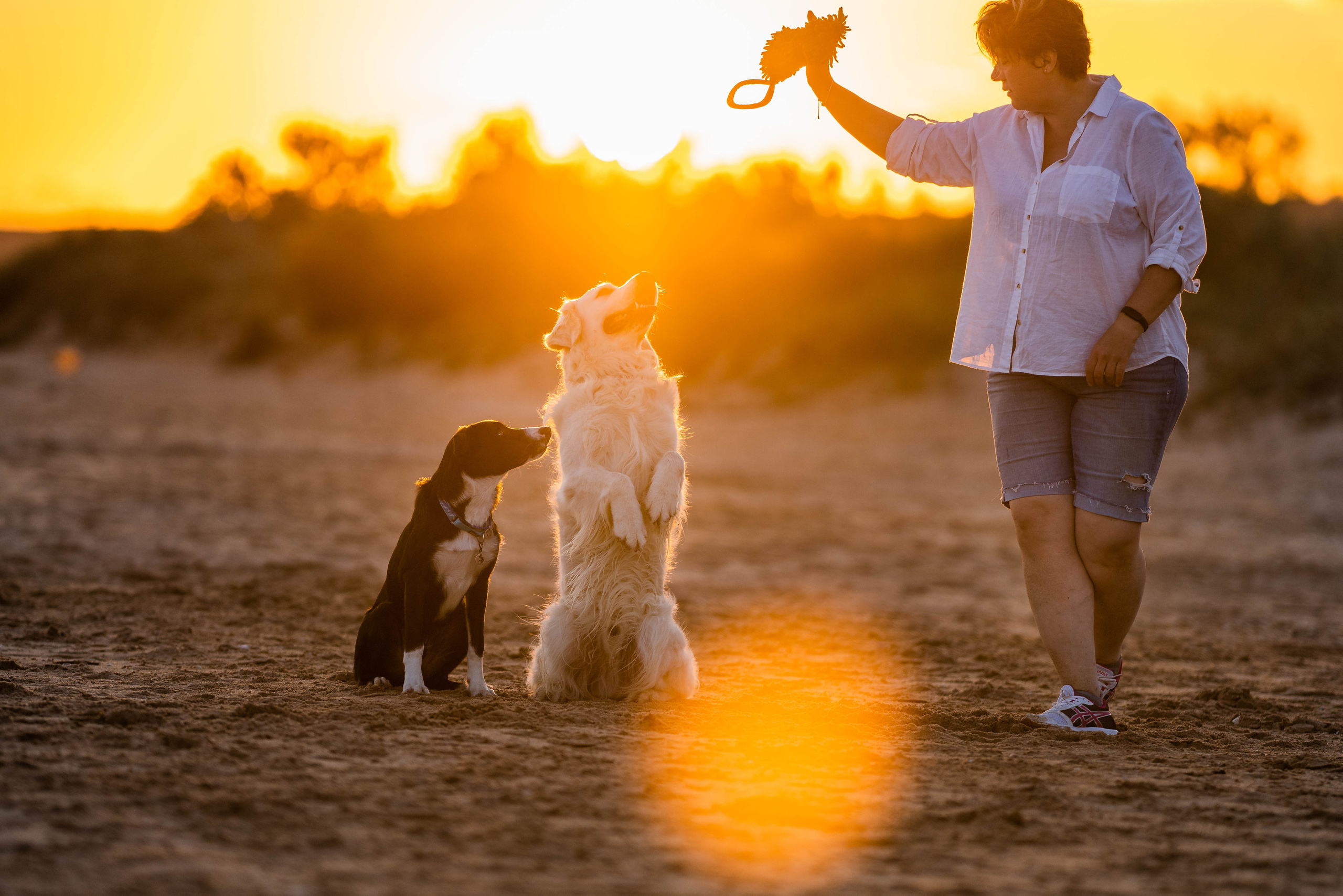 Человек и собака. Семейный фотограф Ефремова Виктория